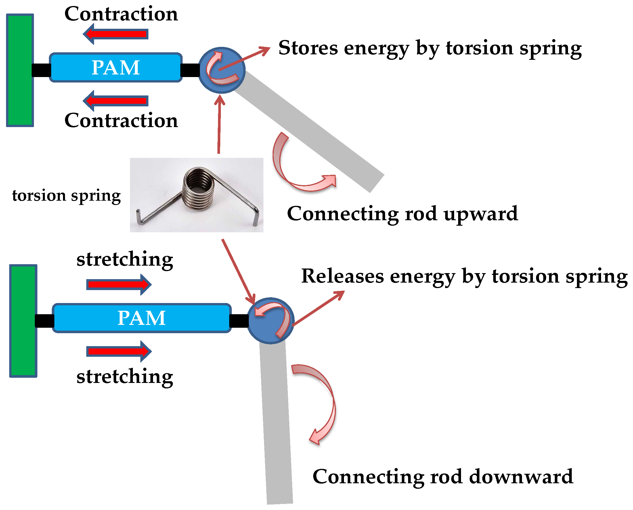 Applsci 10 00043 g002
