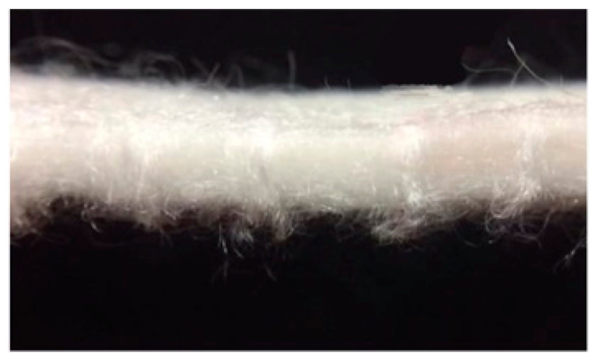 Applsci 10 00065 g013