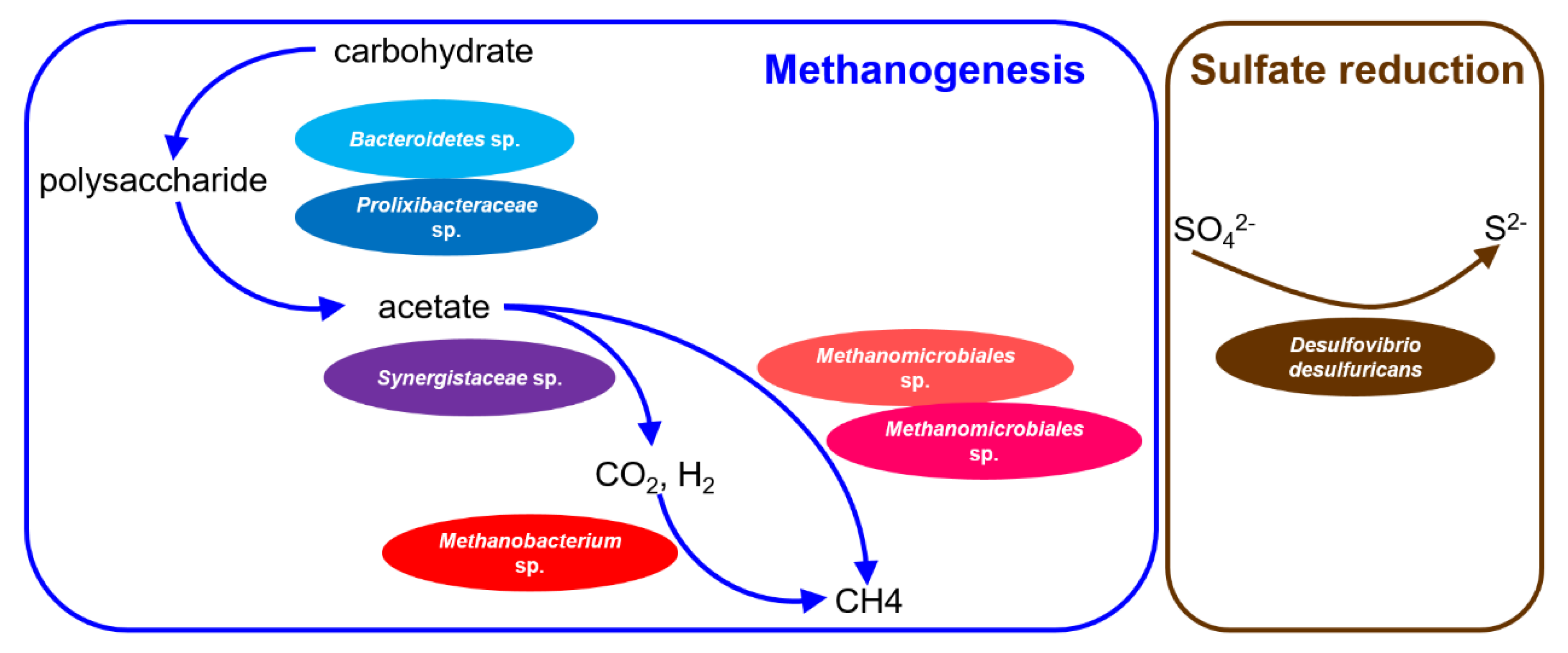 Applied Sciences | Free Full-Text | Genome-Centered Metagenomics ...