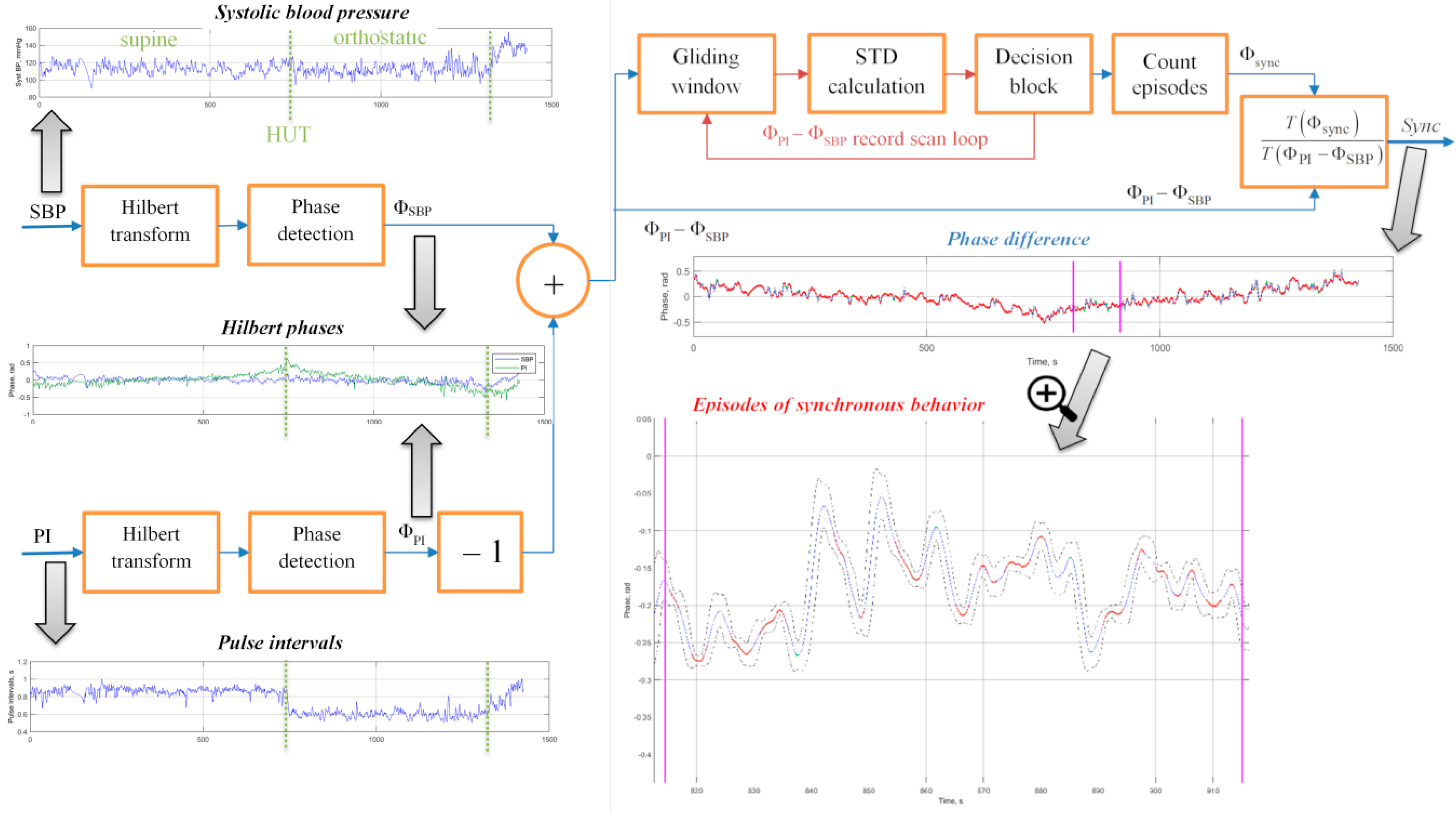 Applied Sciences Free Full Text Quantification Of The Feedback Regulation By Digital Signal Analysis Methods Application To Blood Pressure Control Efficacy Html