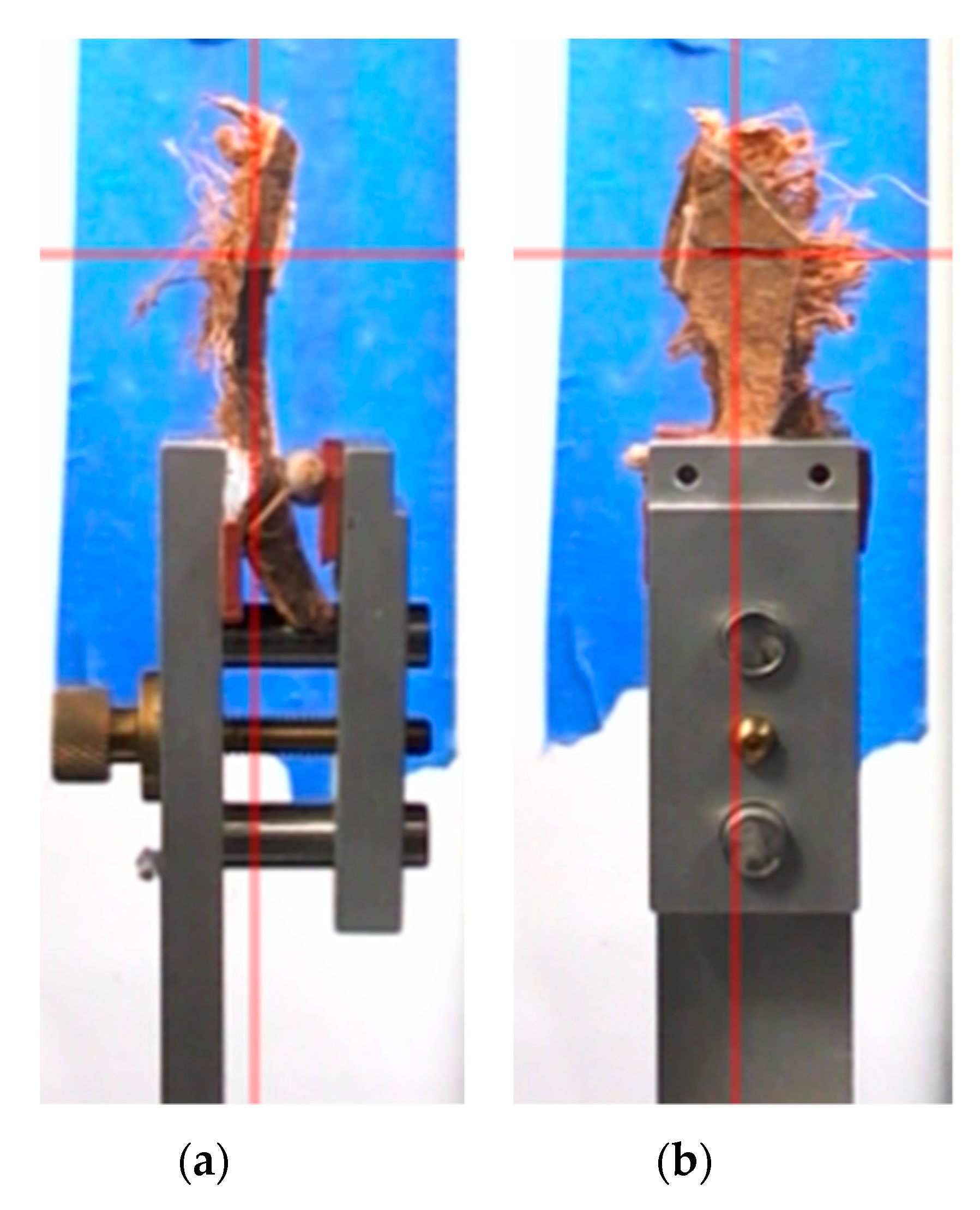 Applsci 10 00355 g003