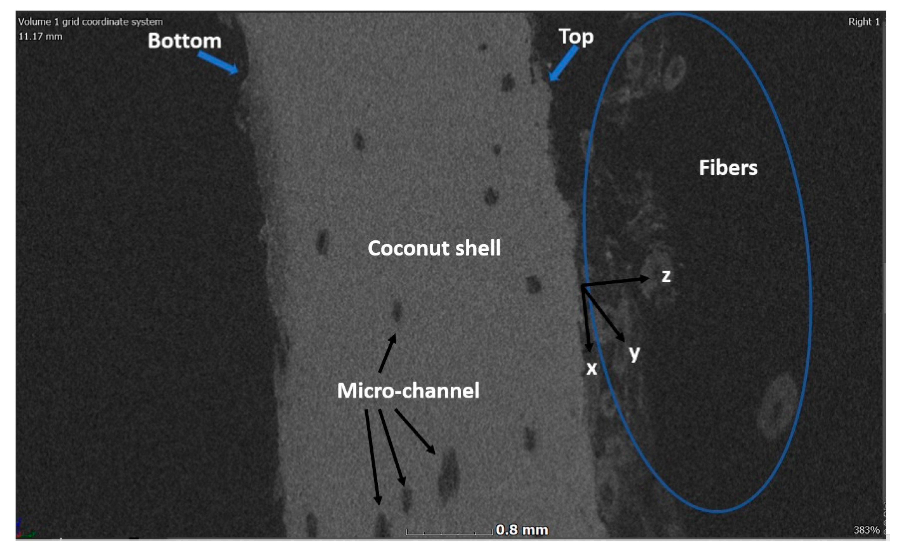Applsci 10 00355 g005