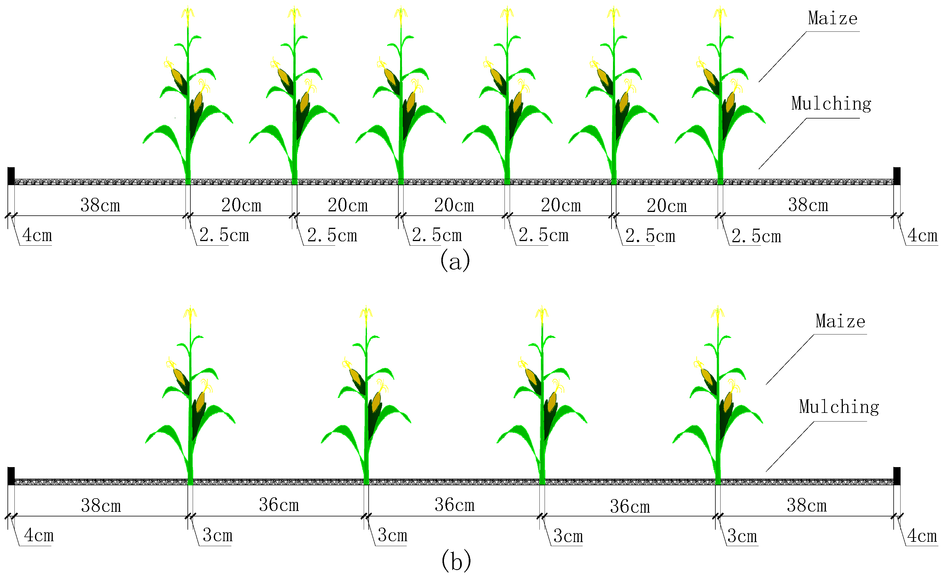 Applsci 10 00402 g002