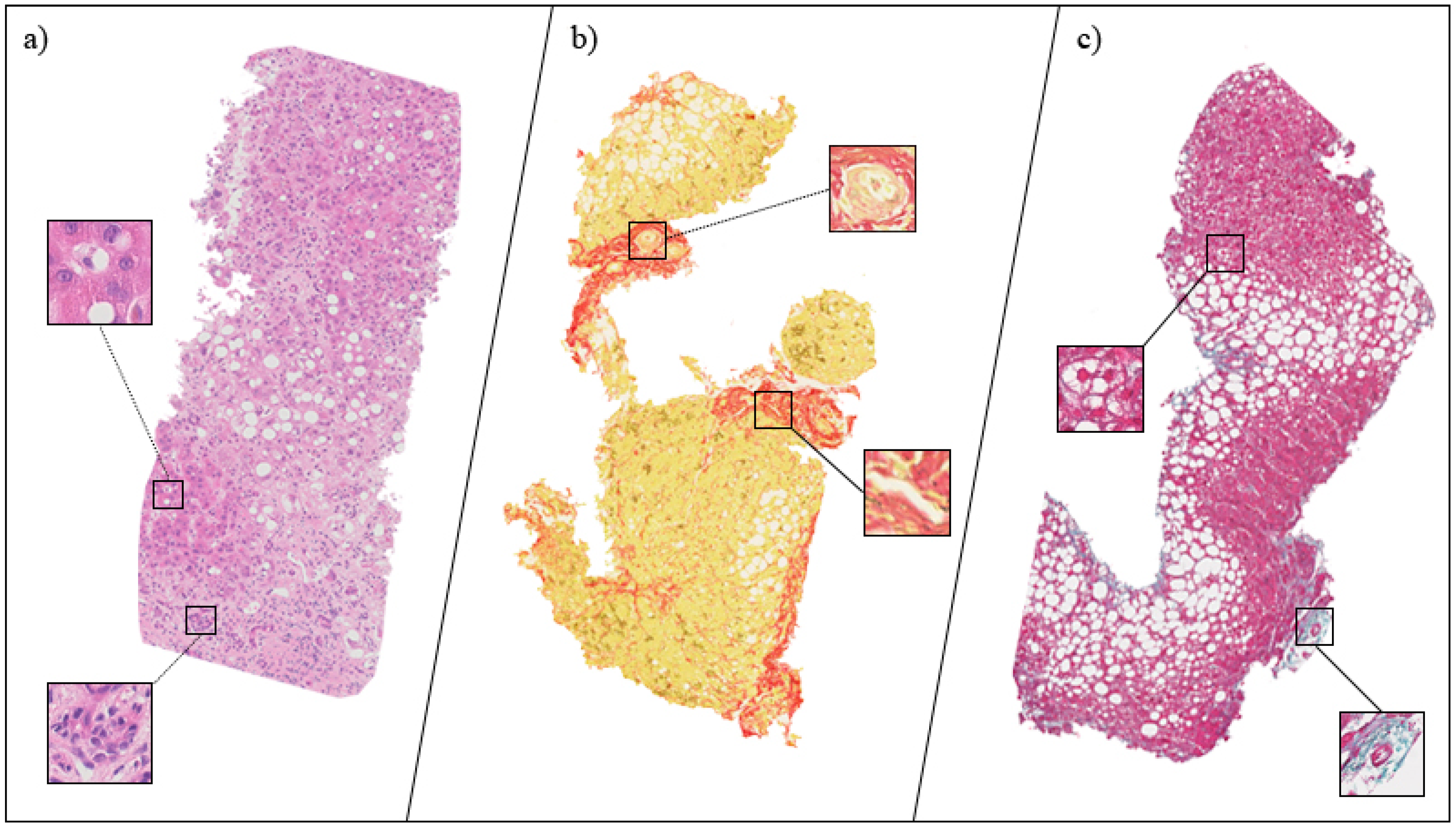 Applsci 10 00447 g003