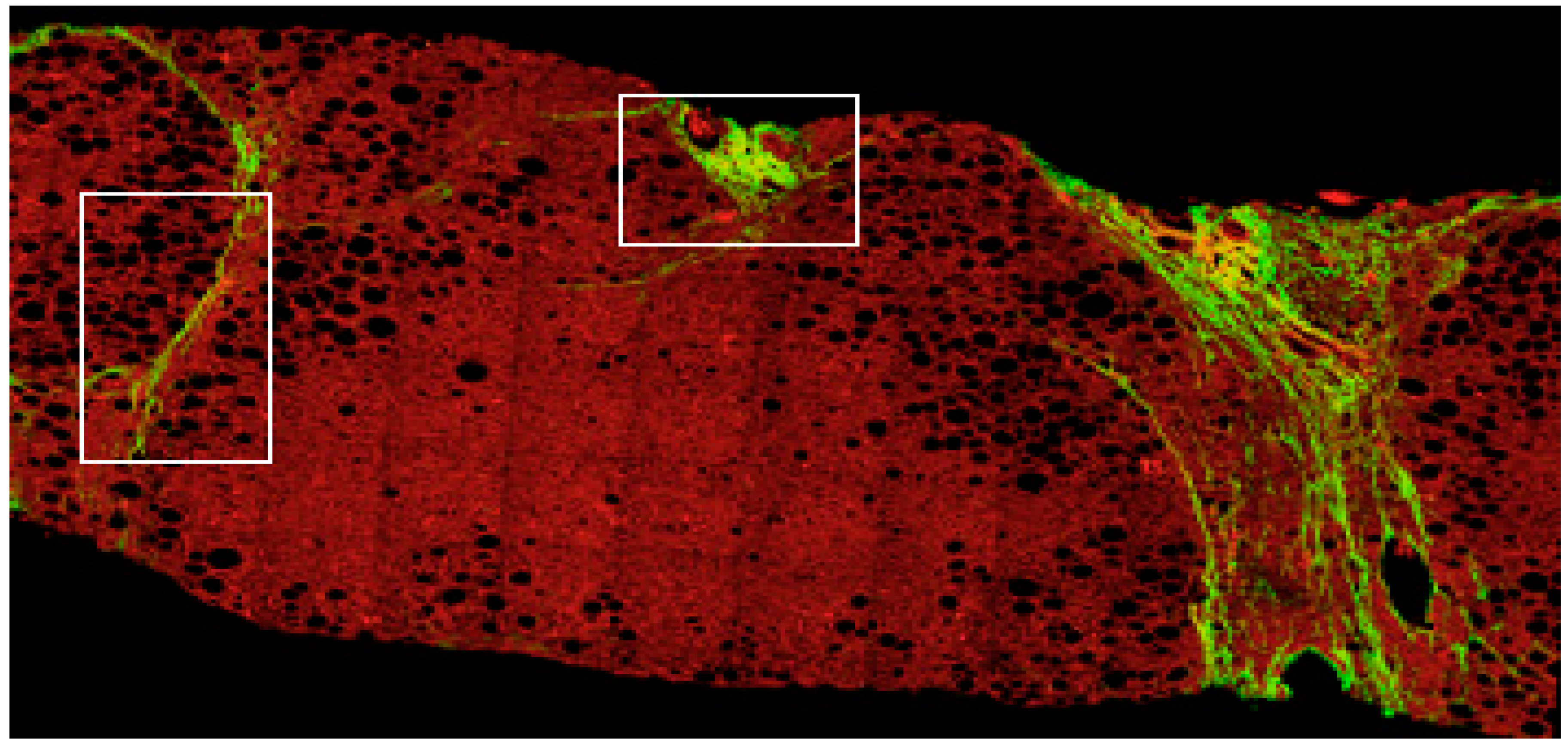 Applsci 10 00447 g007