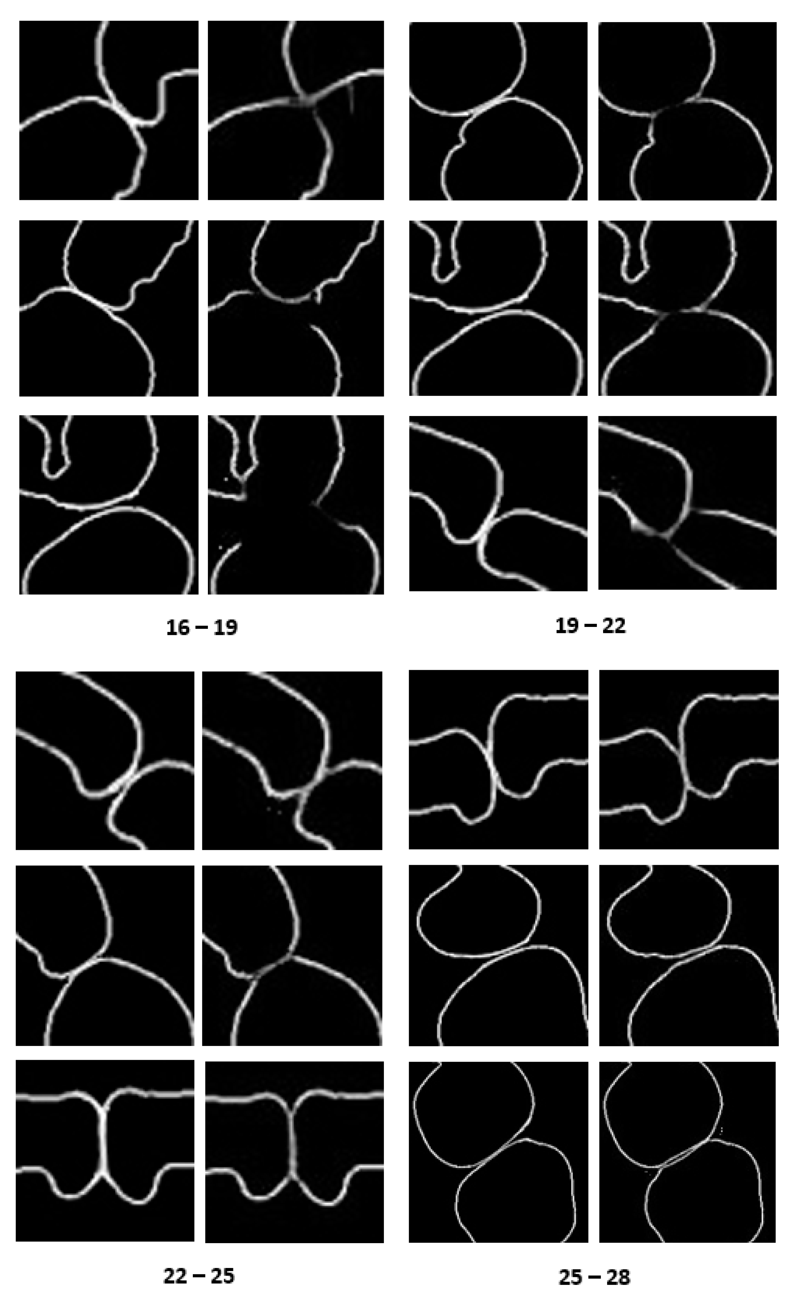 Applsci 10 00490 g017