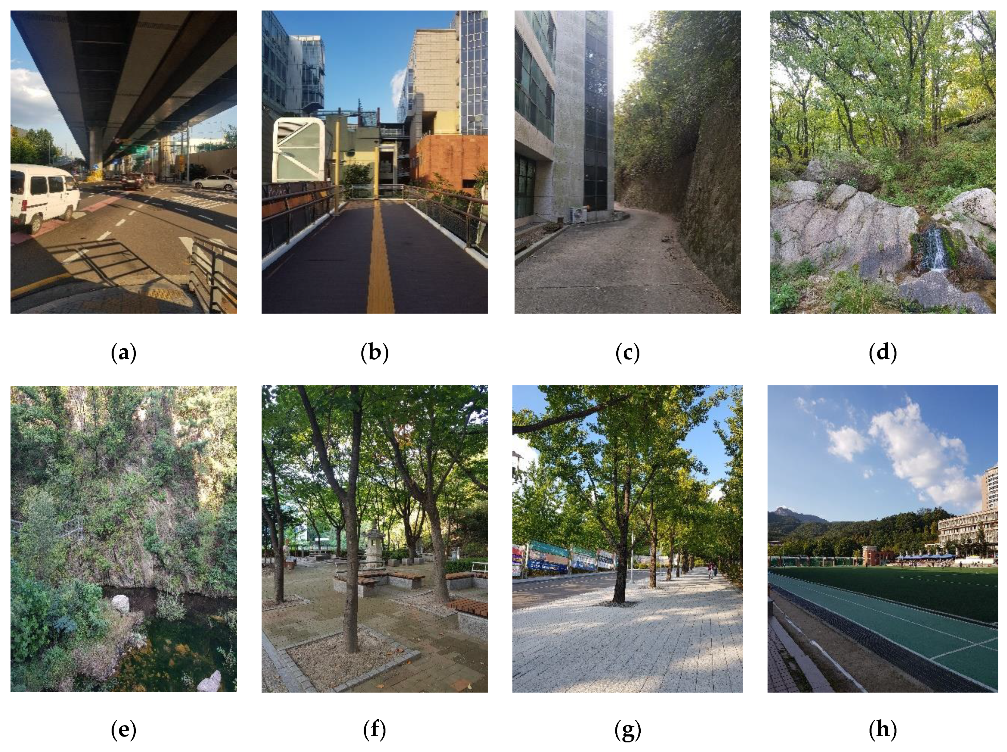 Applsci 10 00500 g008