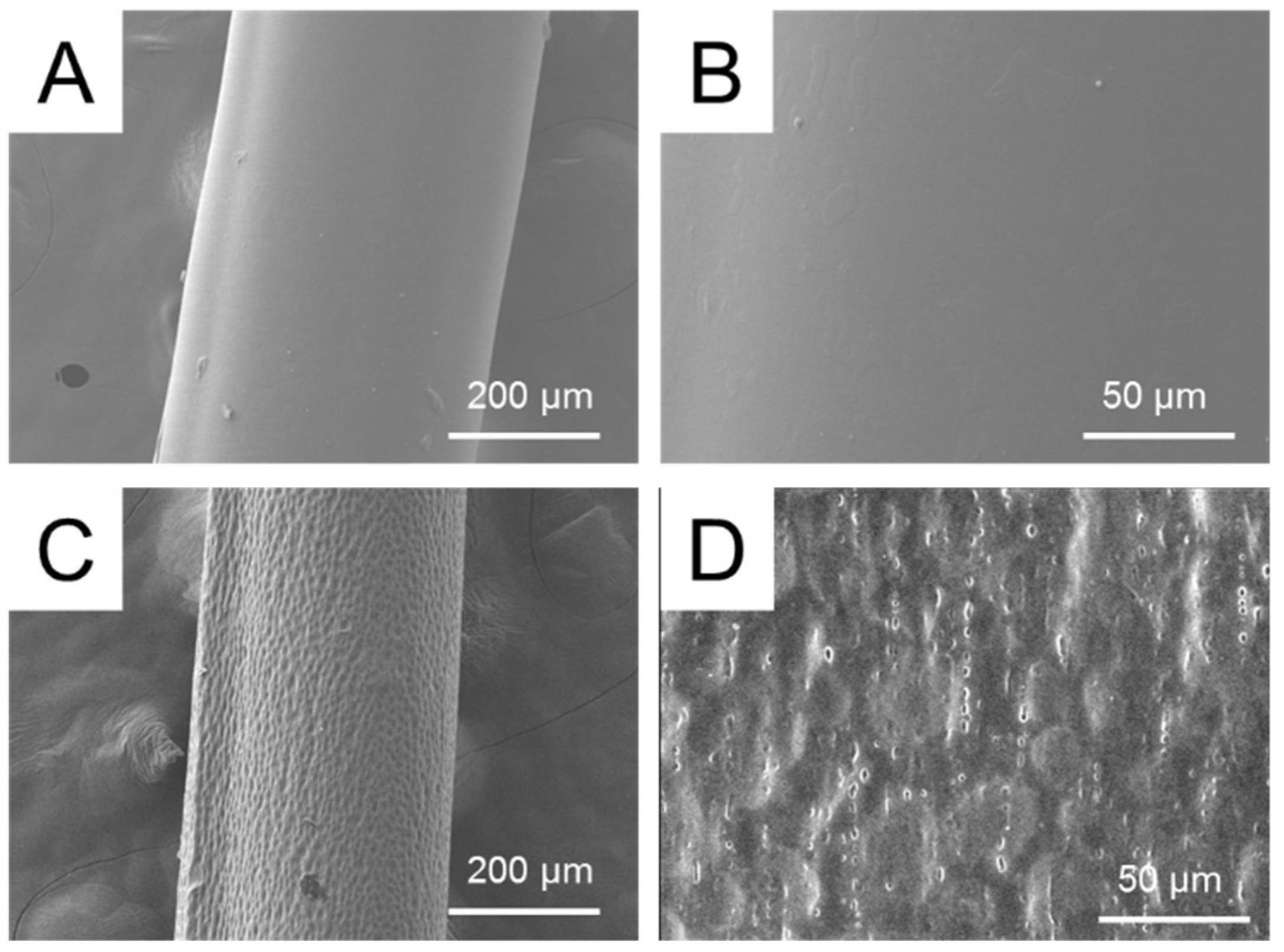 Applsci 10 00509 g012