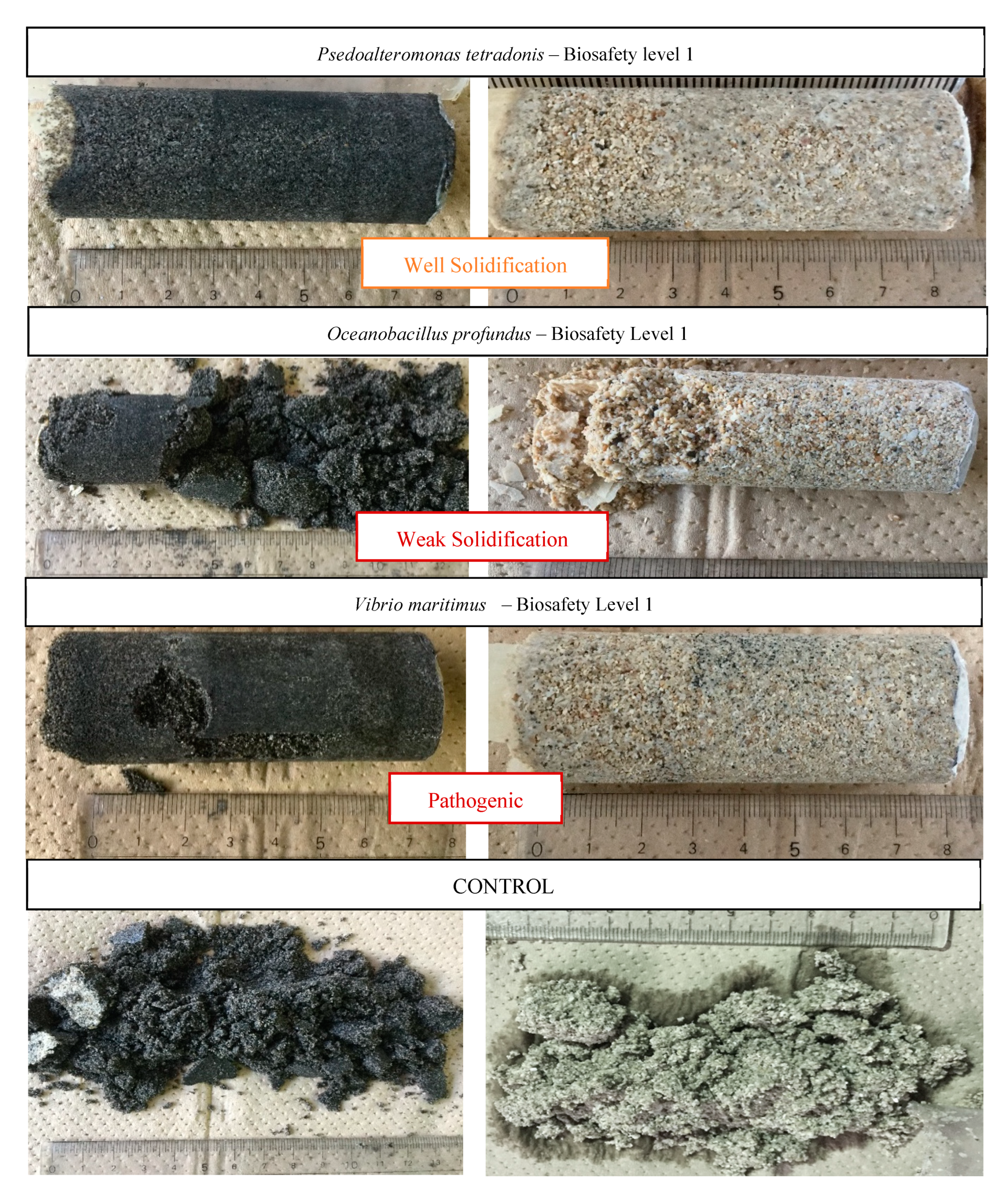 Applsci 10 00520 g007