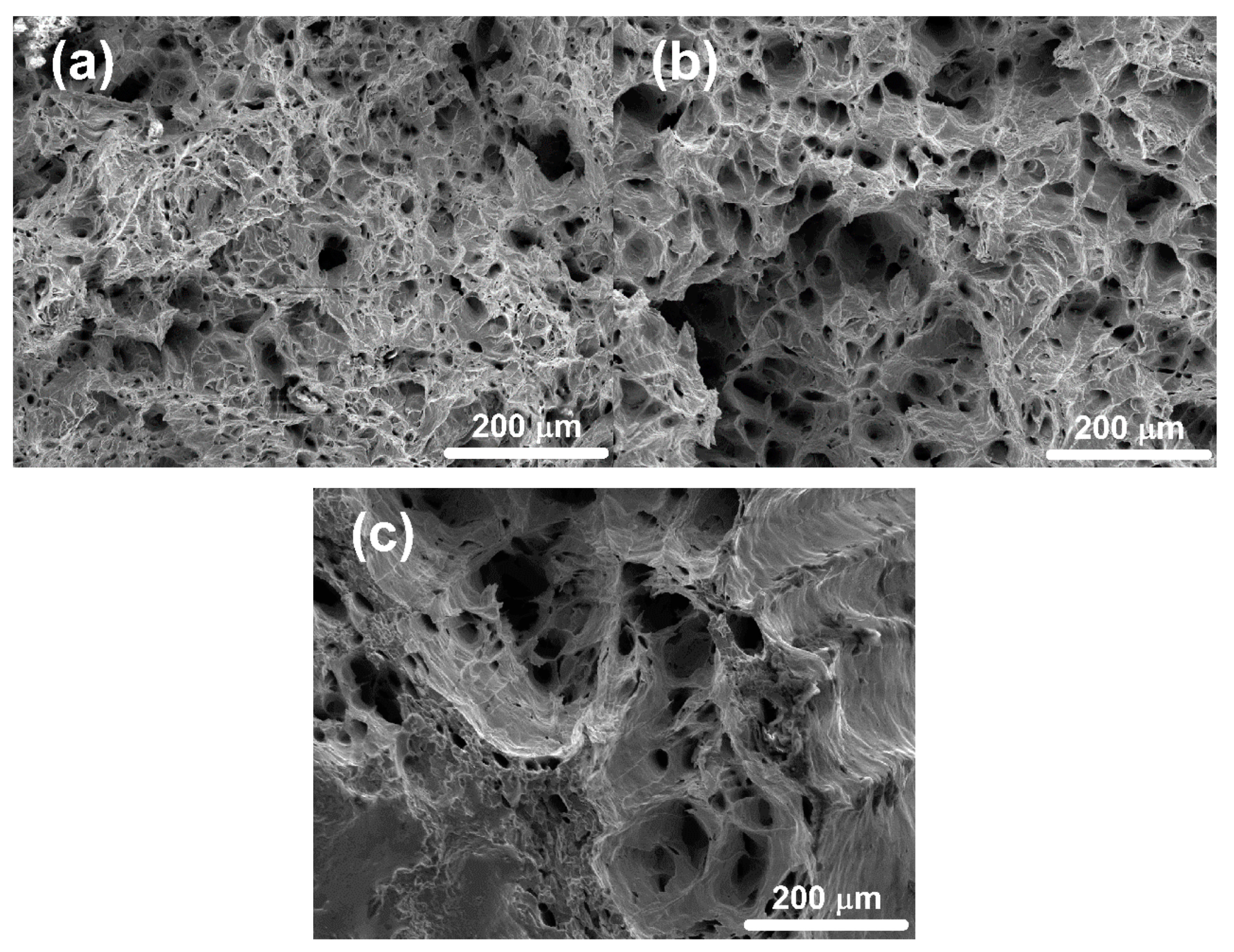 Applsci 10 00530 g008