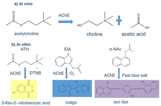 Applied Sciences Free Full Text Screening Of Carbamate And Organophosphate Pesticides In Food Matrices Using An Affordable And Simple Spectrophotometric Acetylcholinesterase Assay Html