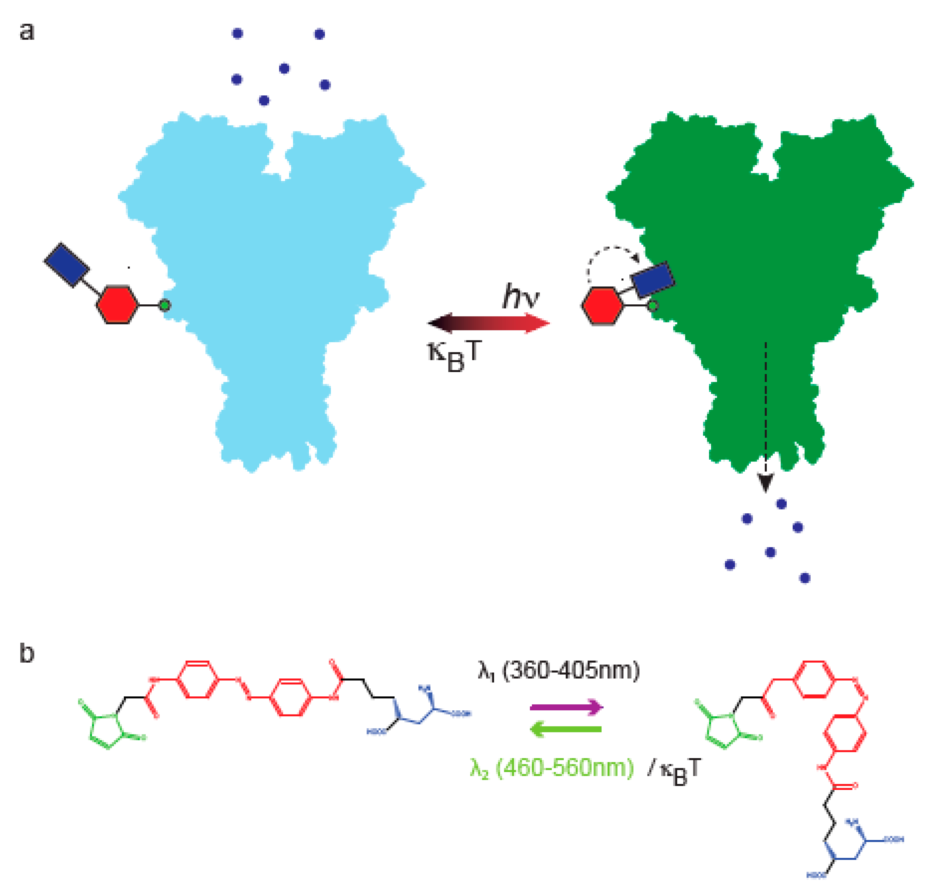 Applsci 10 00805 g001