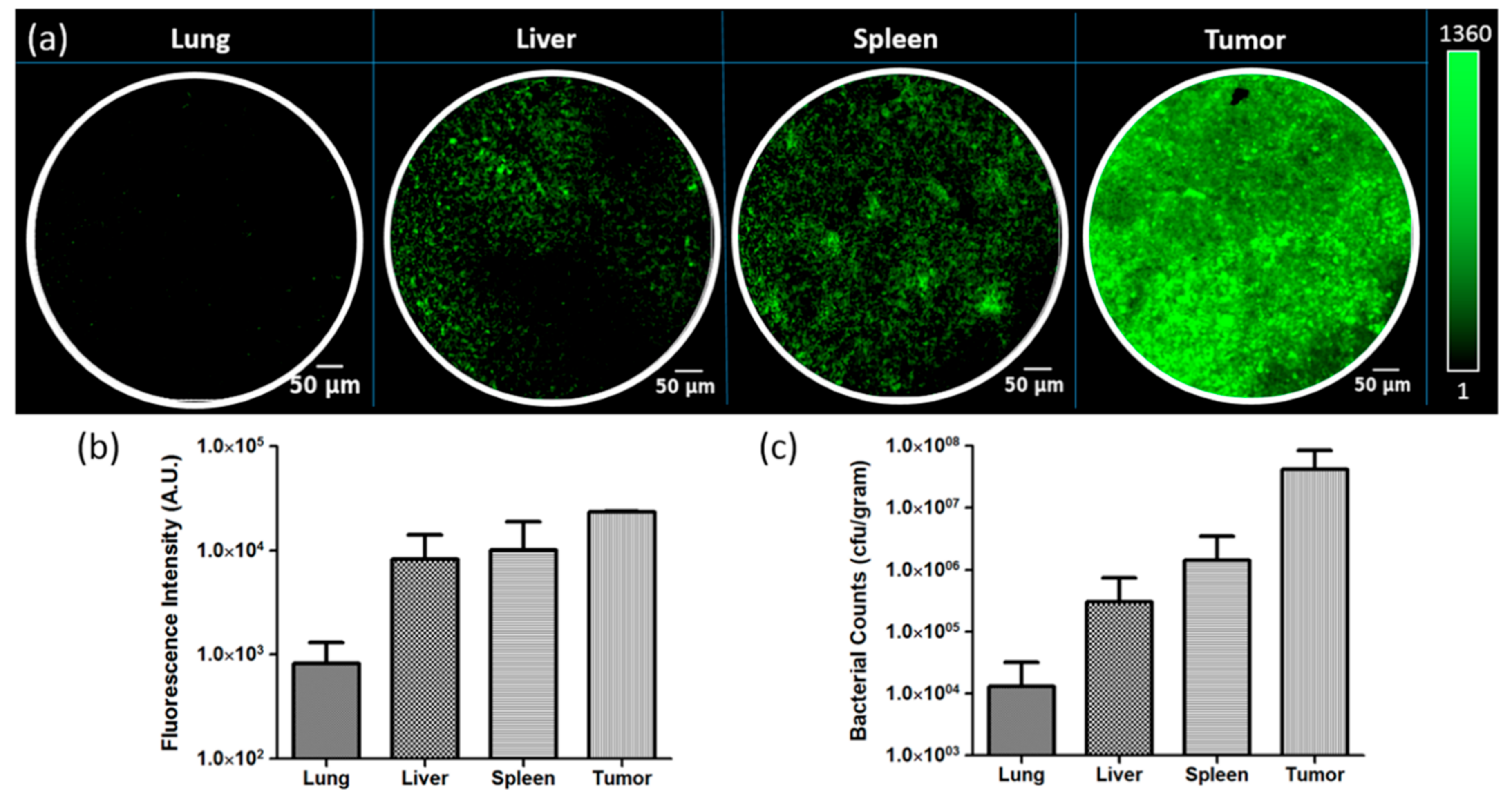 Applsci 10 00844 g005 Applsci 10 00844 g005