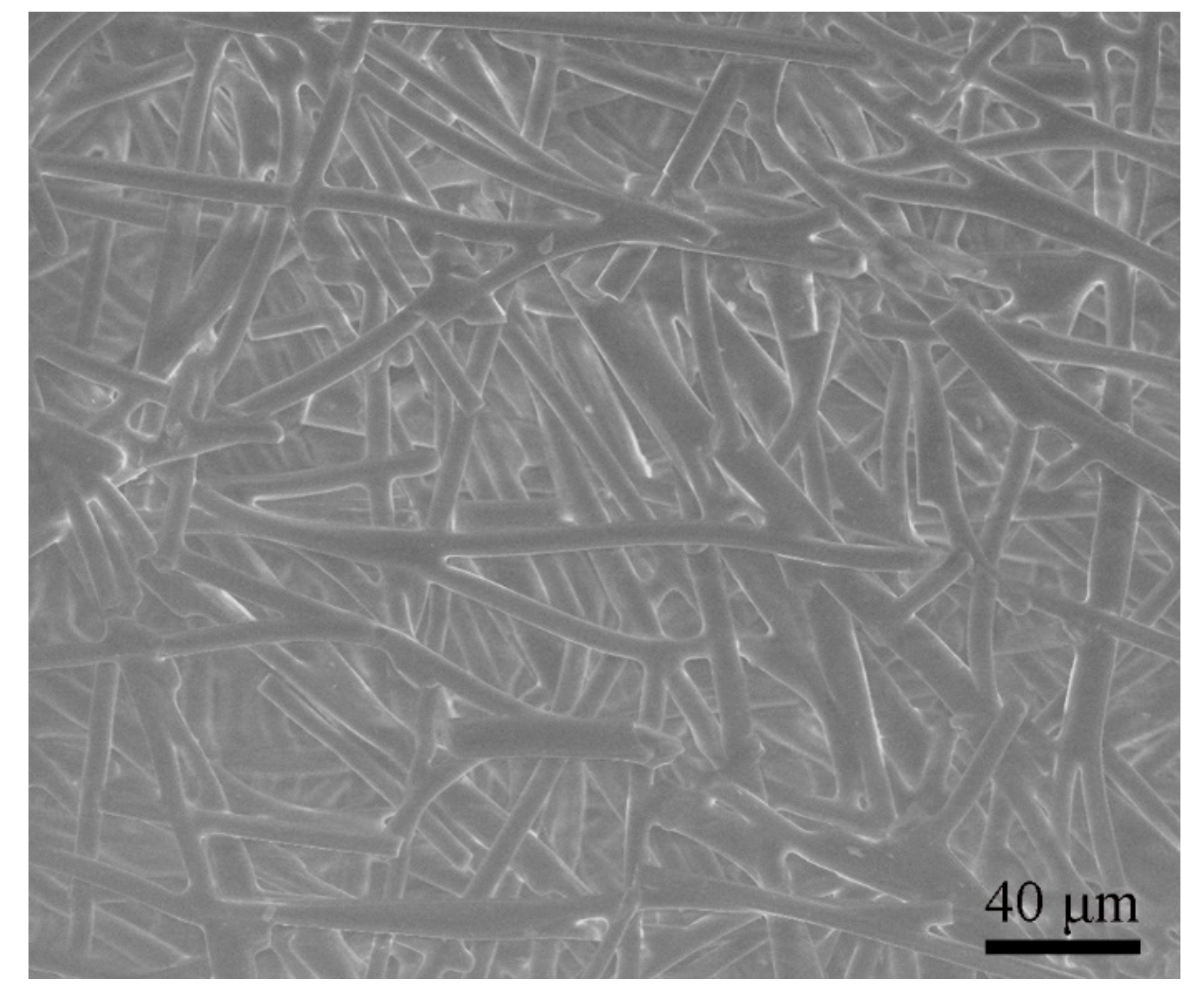 Applsci 10 00941 g001