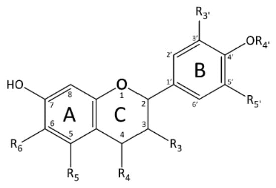 Applied Sciences Free Full Text Plant Derived Bioactives And Oxidative Stress Related Disorders A Key Trend Towards Healthy Aging And Longevity Promotion Html