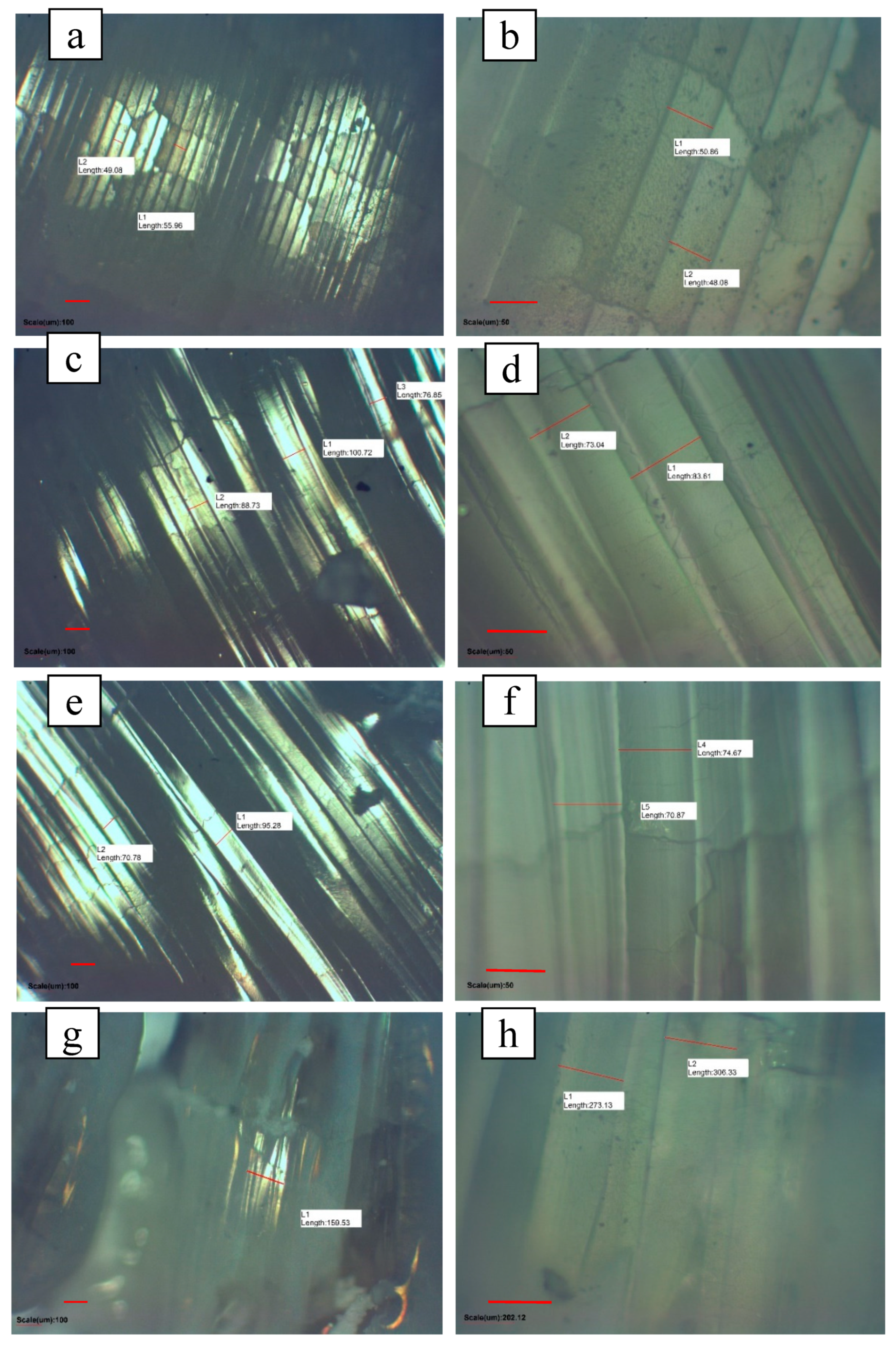 Applsci 10 00979 g005