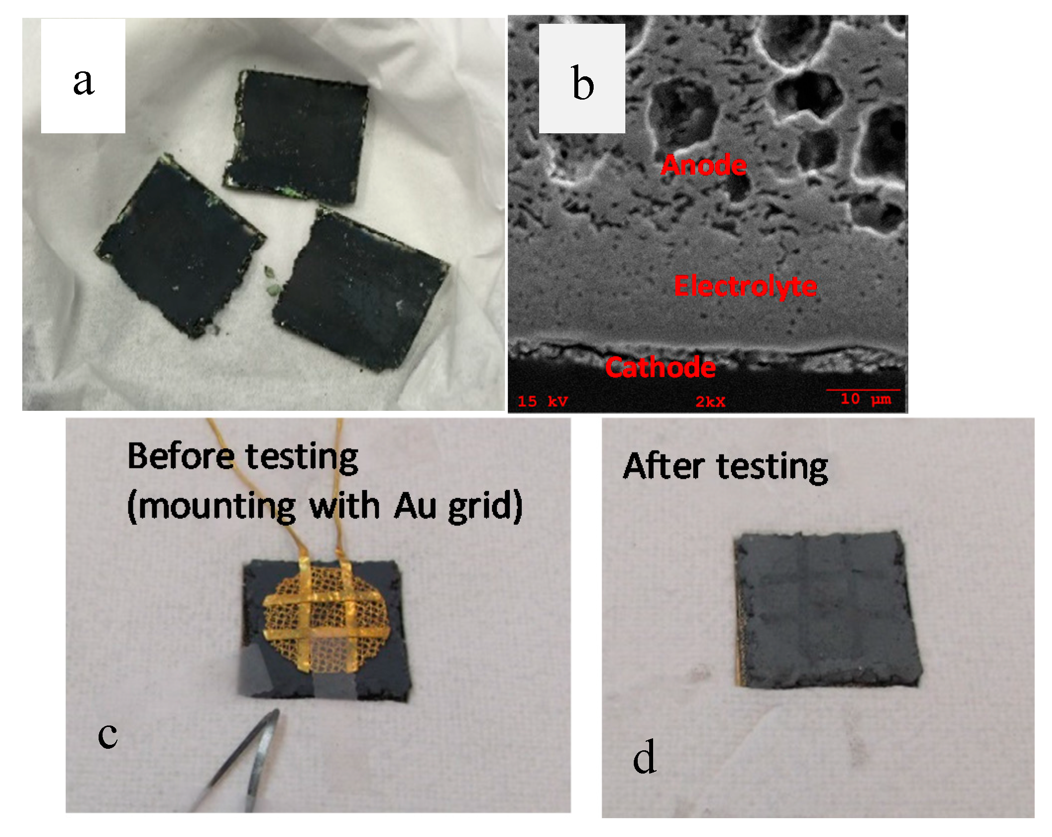 Applsci 10 00979 g006