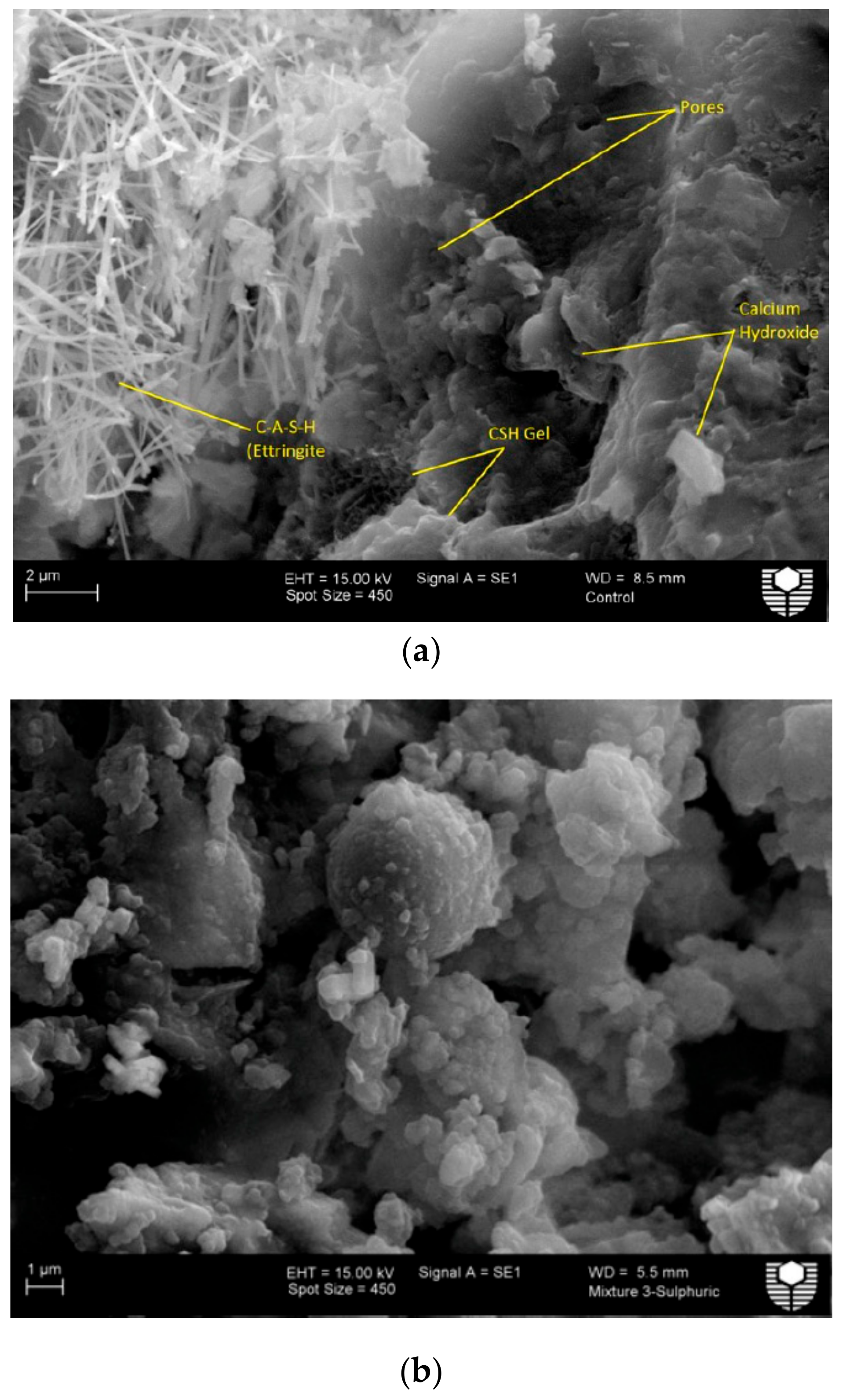 Applsci 10 00990 g005 Applsci 10 00990 g005