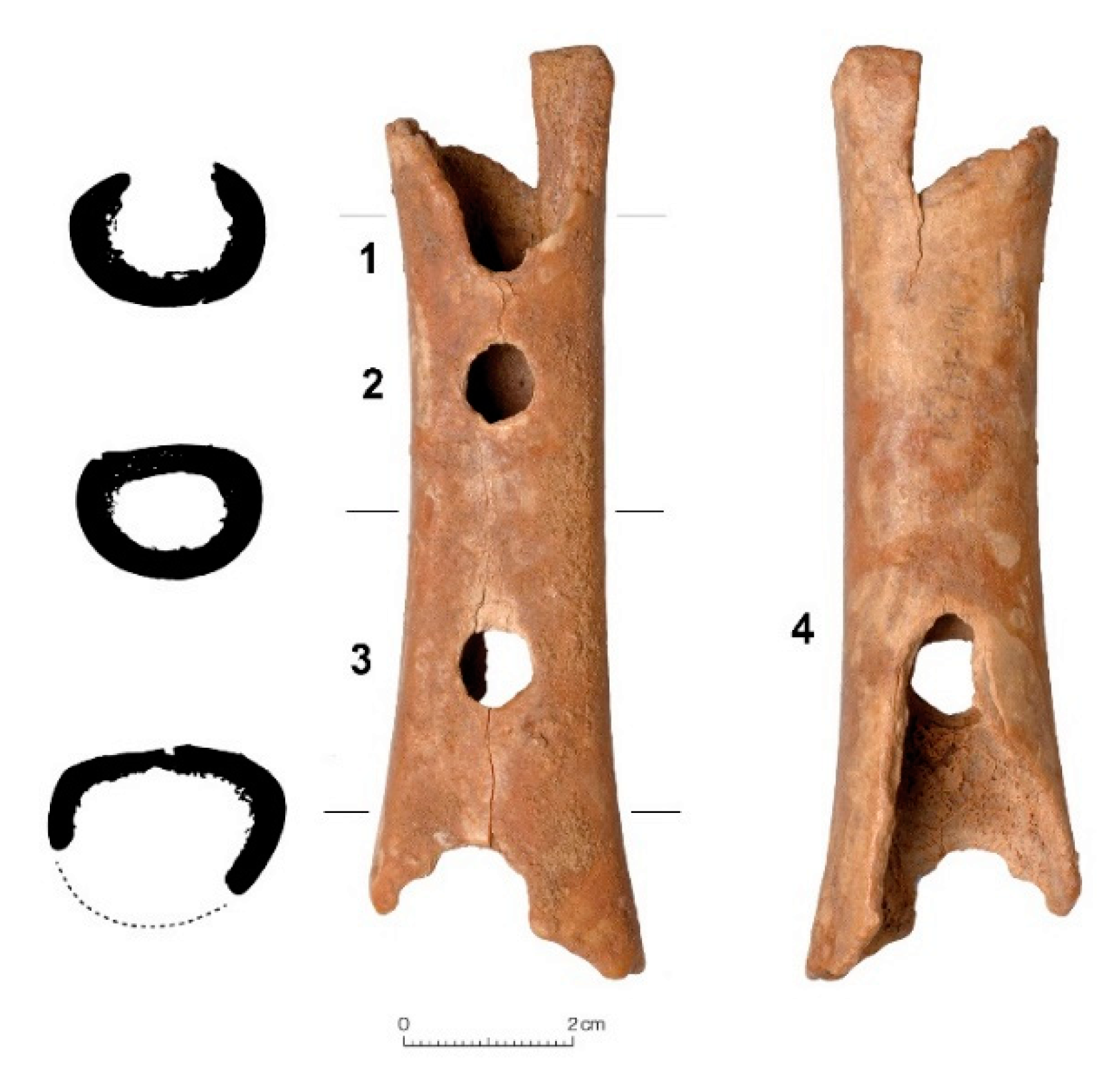 Applied Sciences | Free Full-Text | The Neanderthal Musical Instrument from  Divje Babe I Cave (Slovenia): A Critical Review of the Discussion