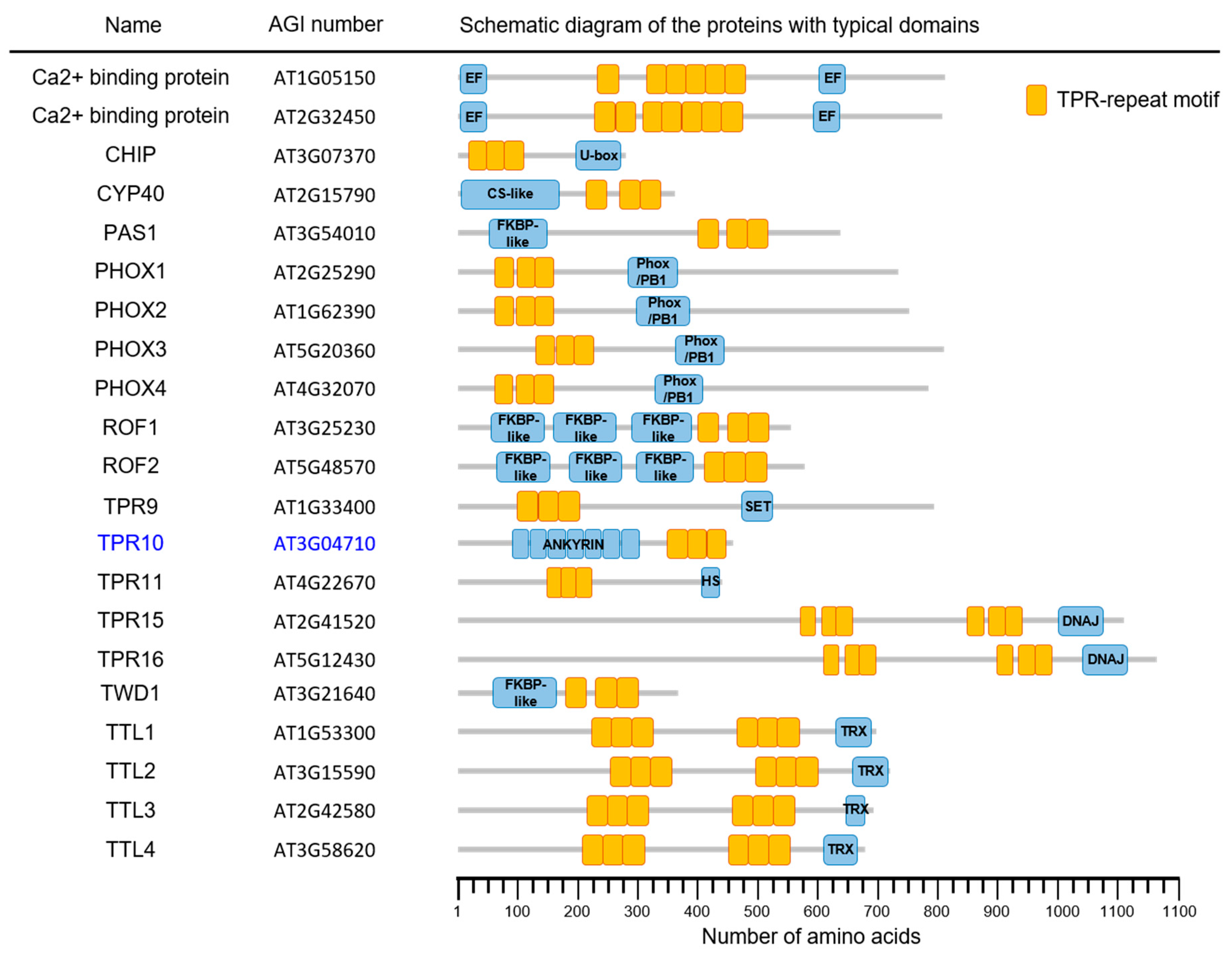 Applsci 10 01265 g001 Applsci 10 01265 g001