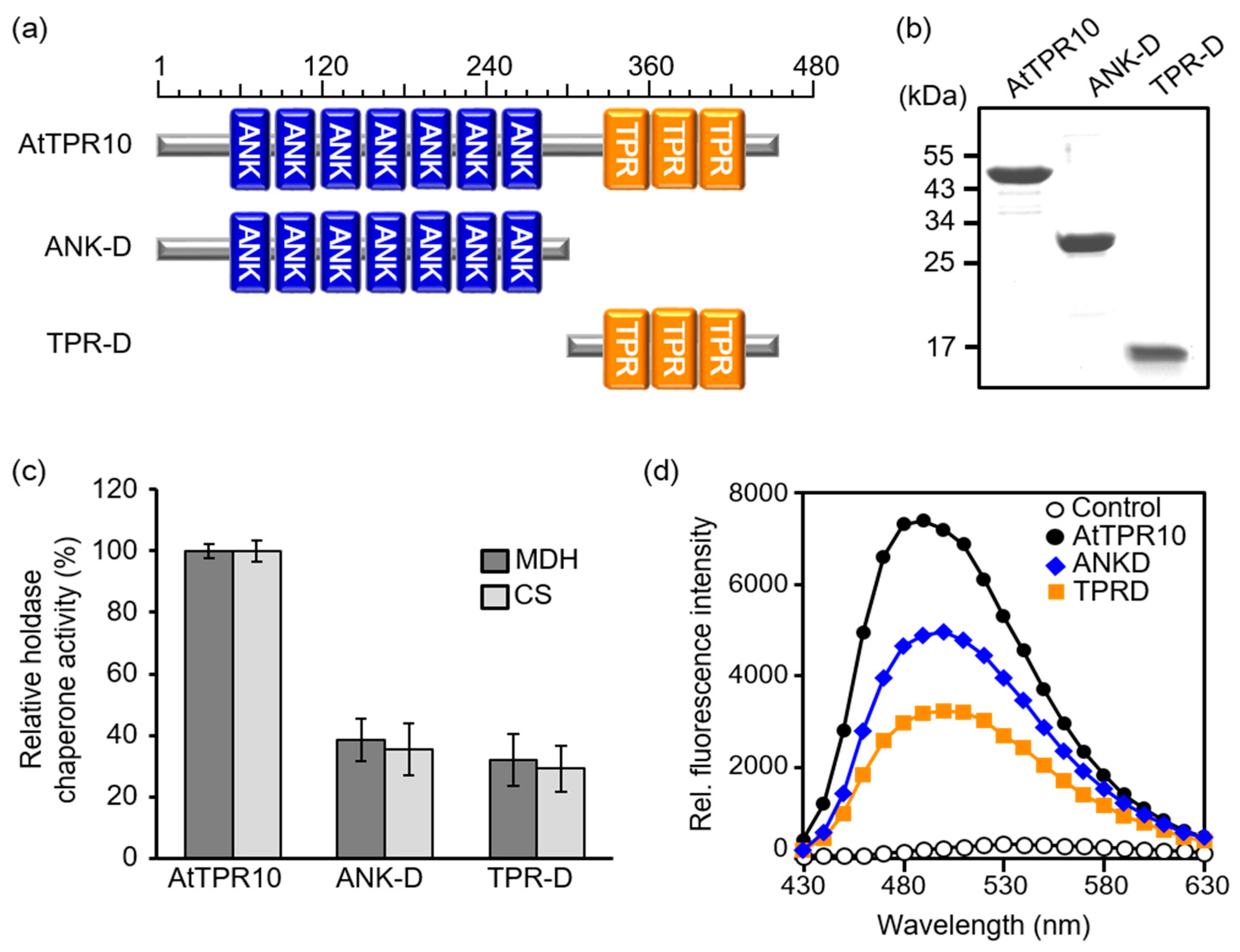 Applsci 10 01265 g007 Applsci 10 01265 g007