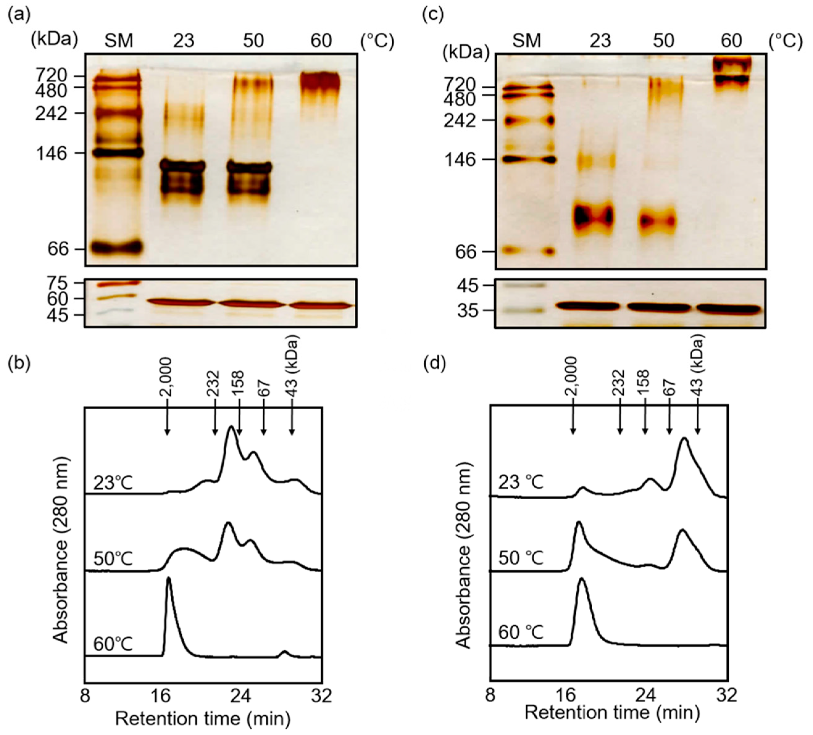 Applsci 10 01265 g009 Applsci 10 01265 g009