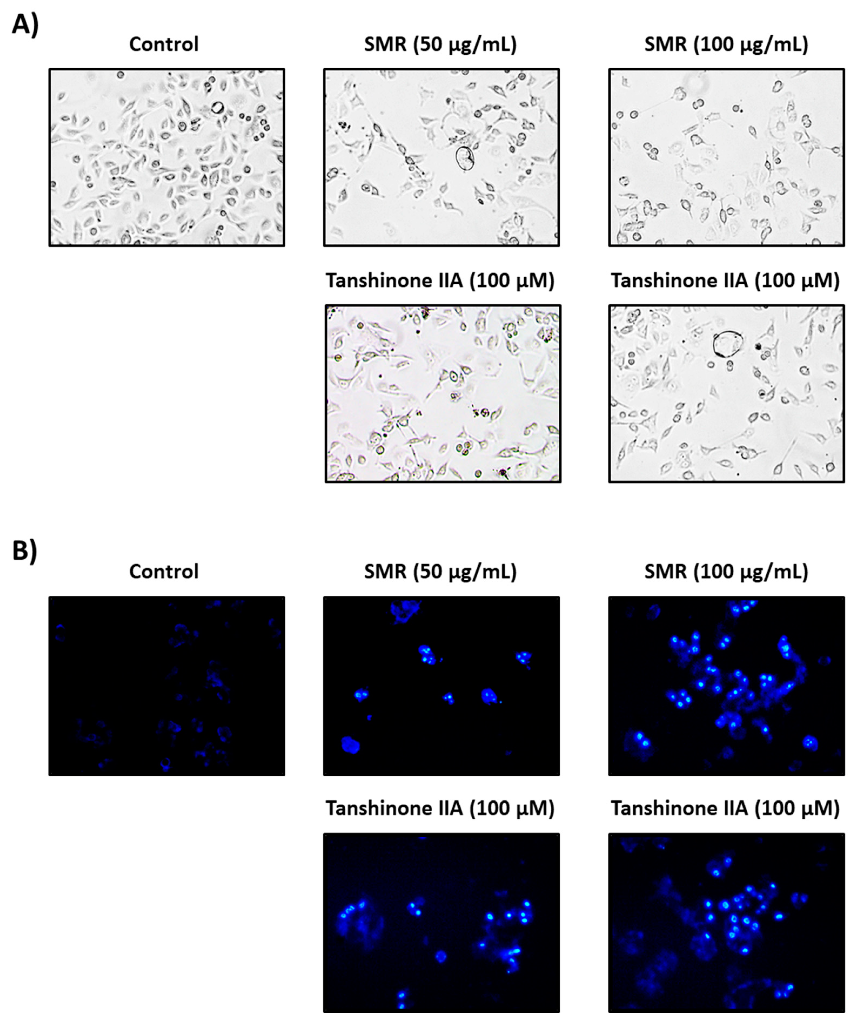 Applsci 10 01304 g003