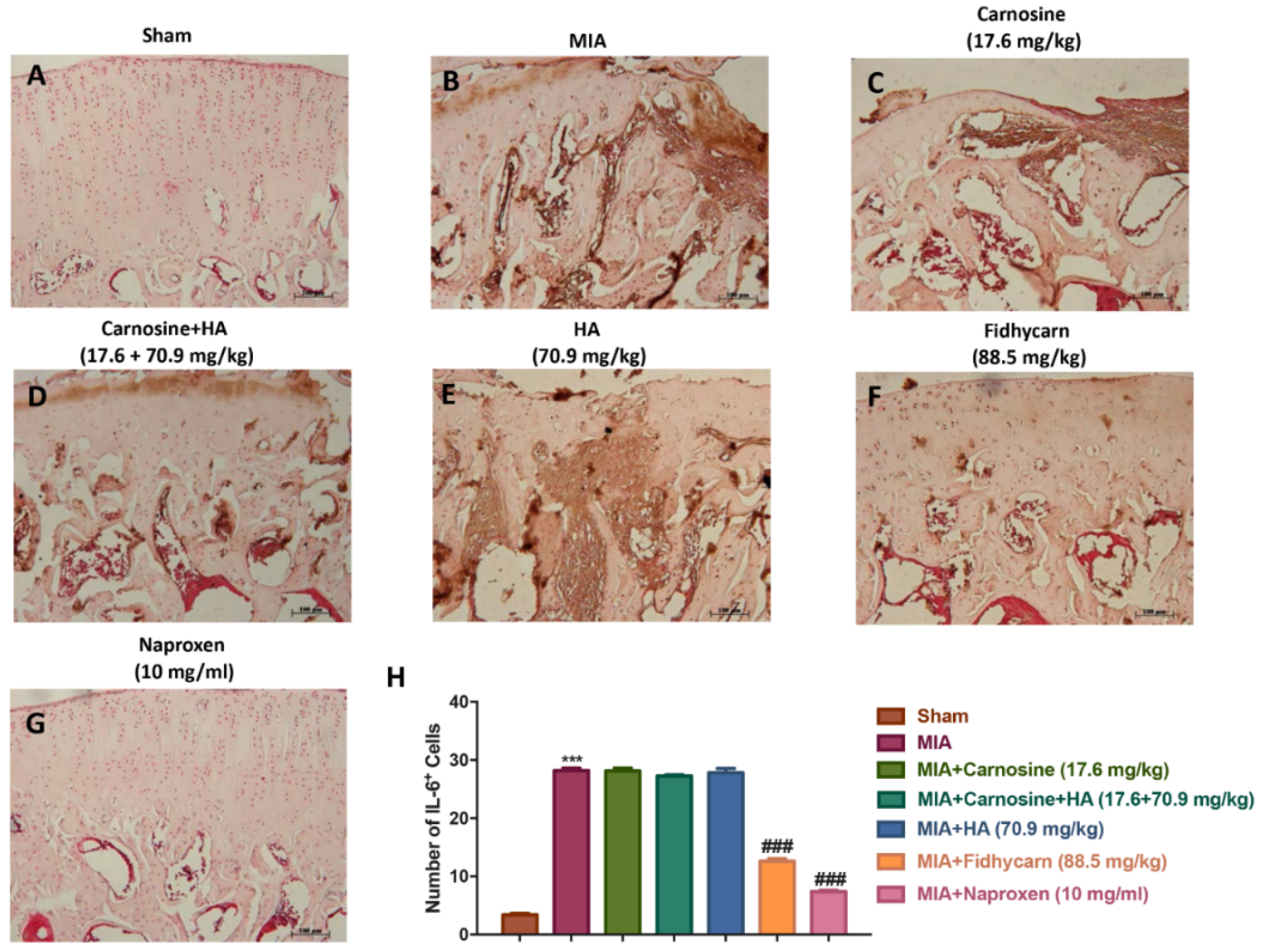 Applsci 10 01324 g011