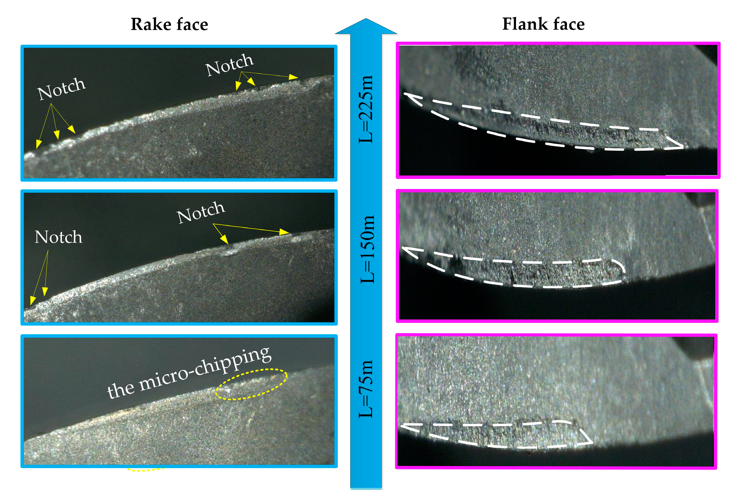 Applsci 10 01423 g008