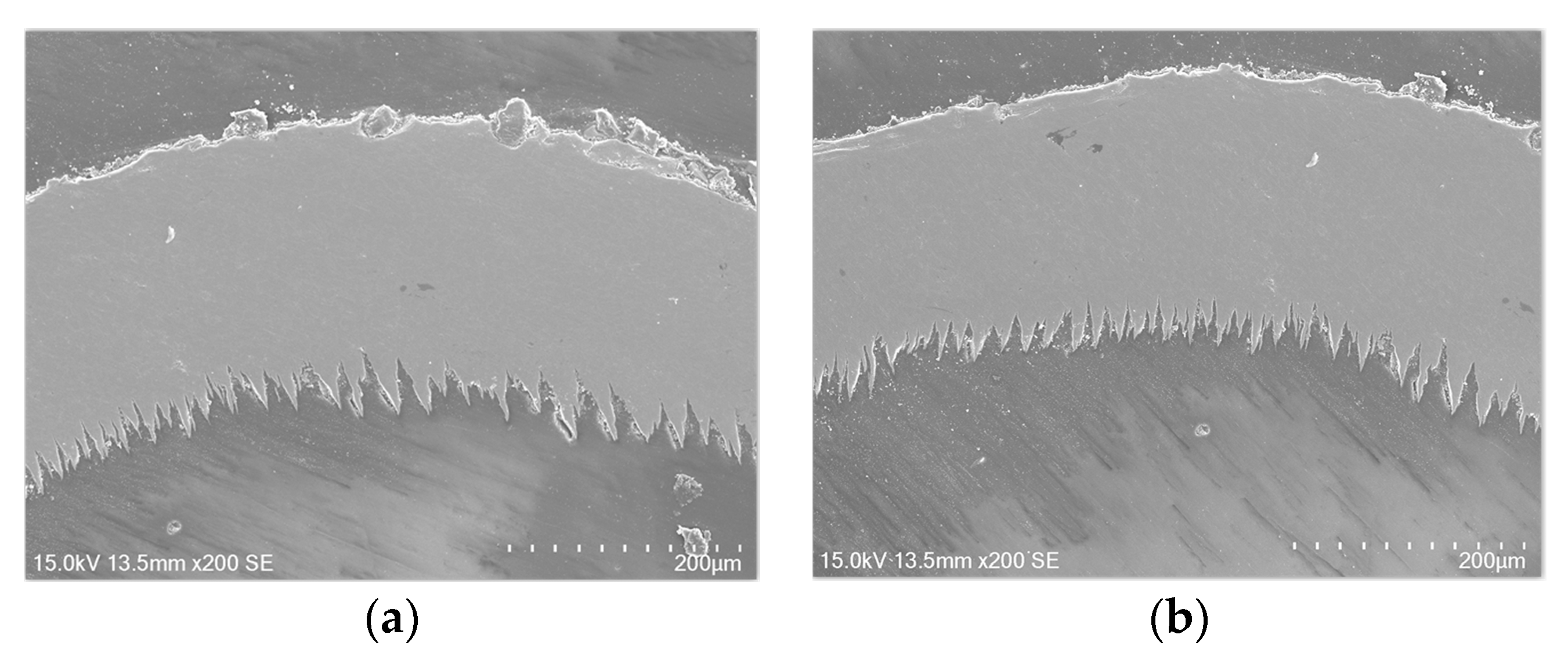 Applsci 10 01423 g013