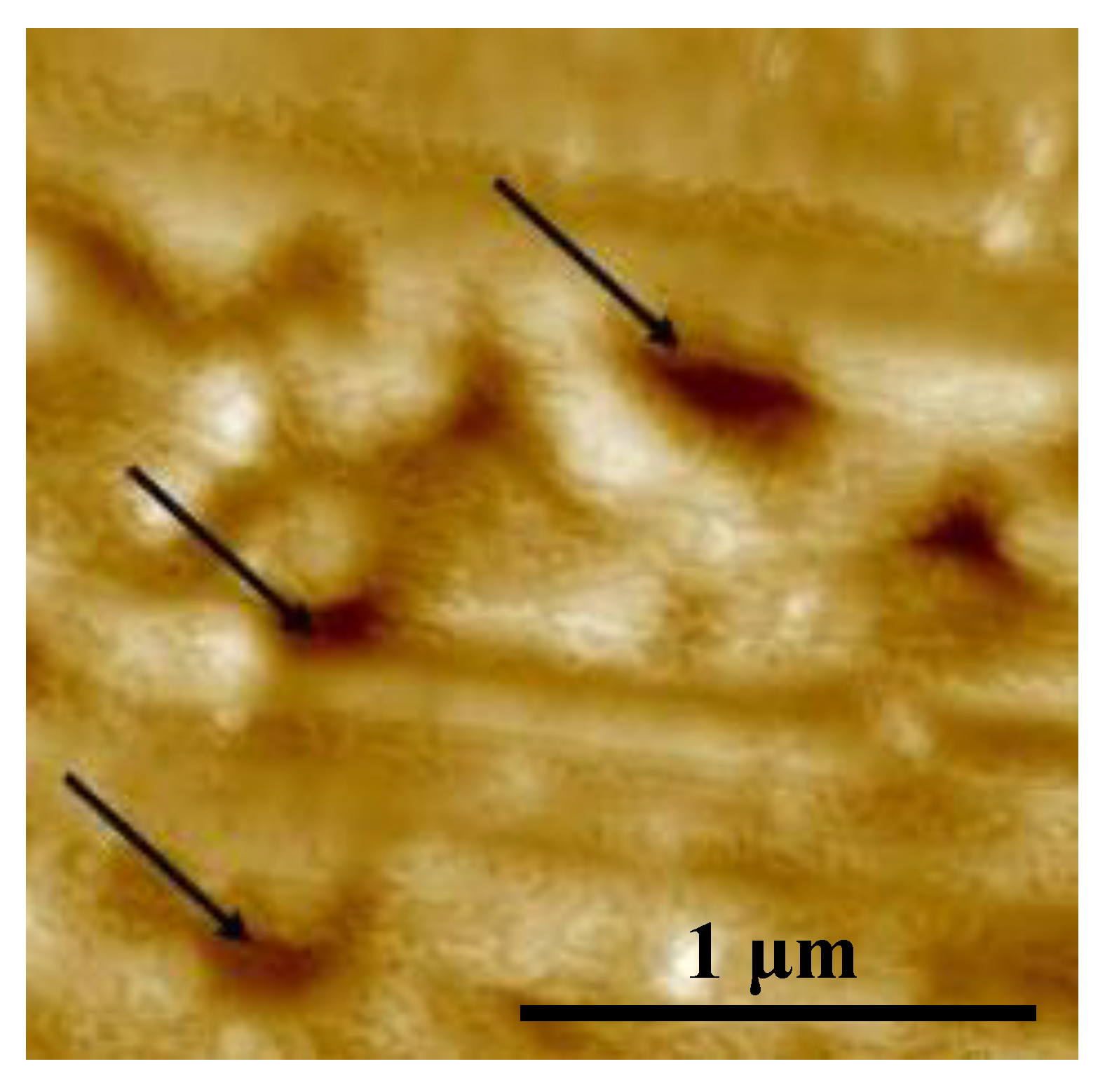 Applsci 10 01438 g002 Applsci 10 01438 g002