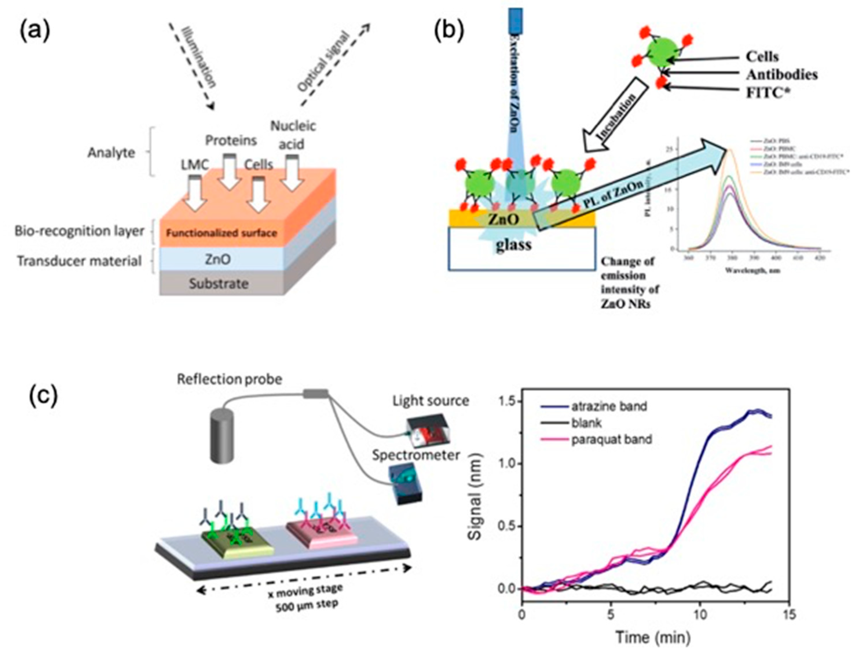 Applsci 10 01458 g004