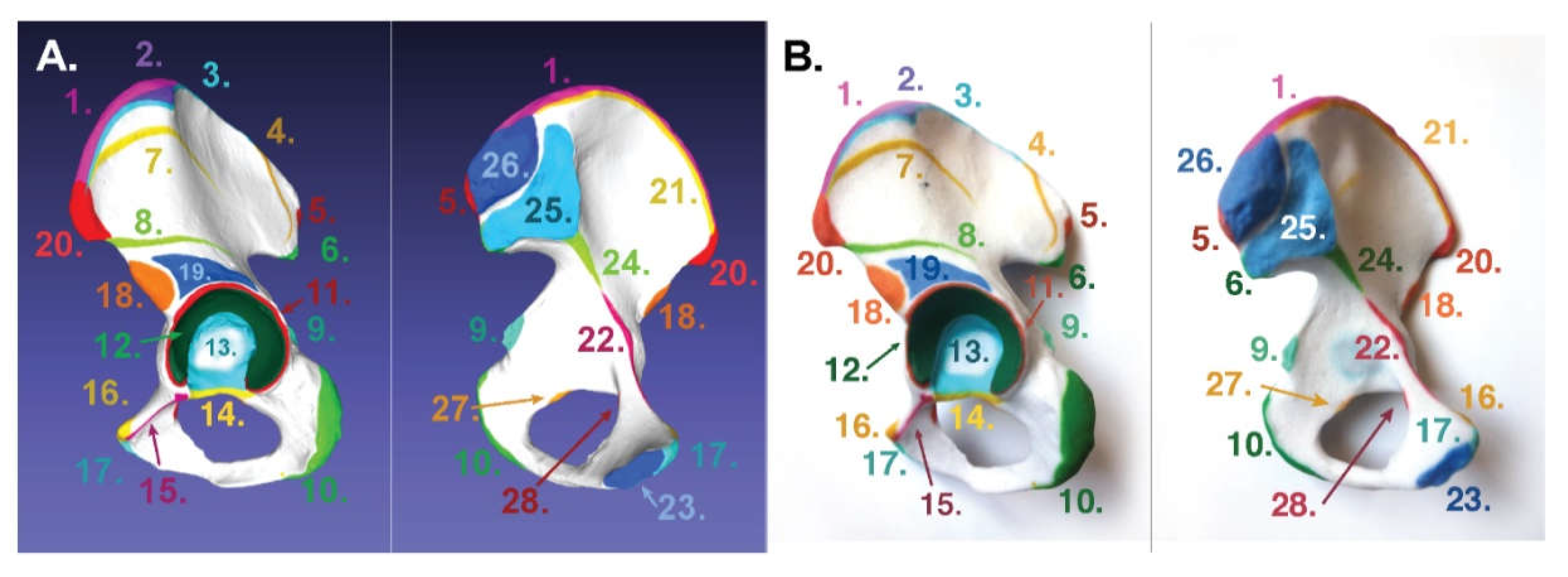 Applsci 10 01571 g006