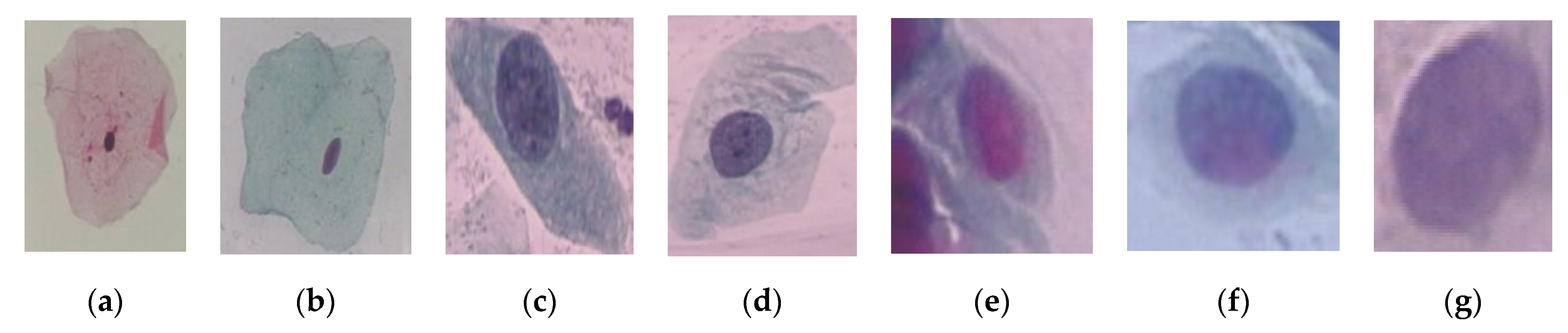 Applsci 10 01800 g003