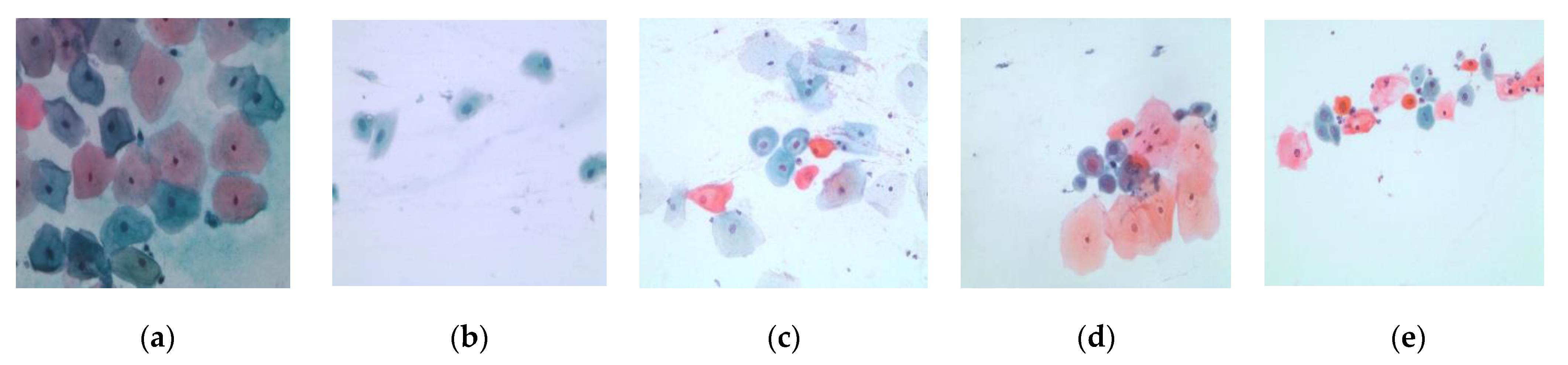 Applsci 10 01800 g004