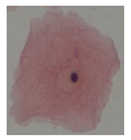 Applsci 10 01800 i001