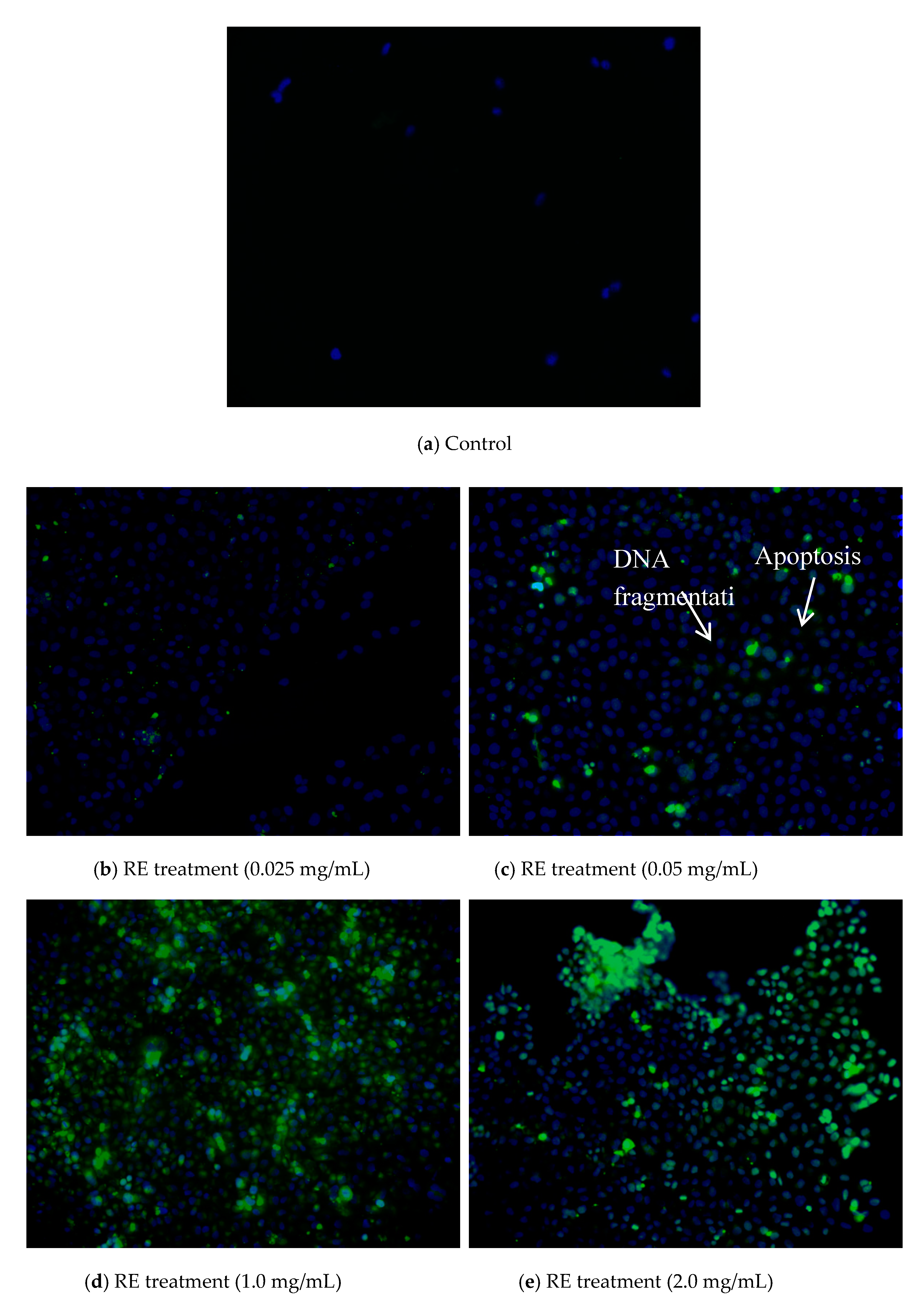 Applsci 10 02249 g006 Applsci 10 02249 g006