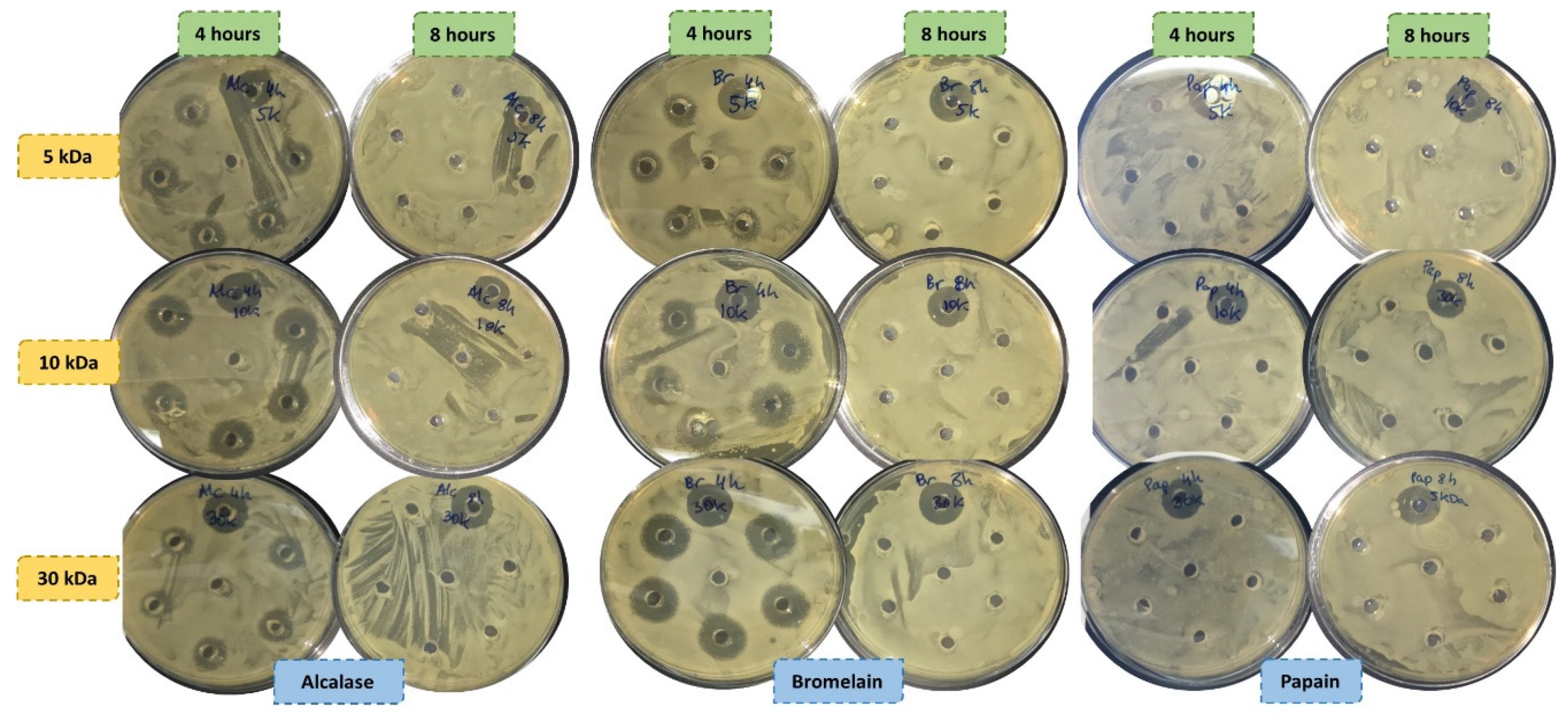 Applsci 10 02290 g002