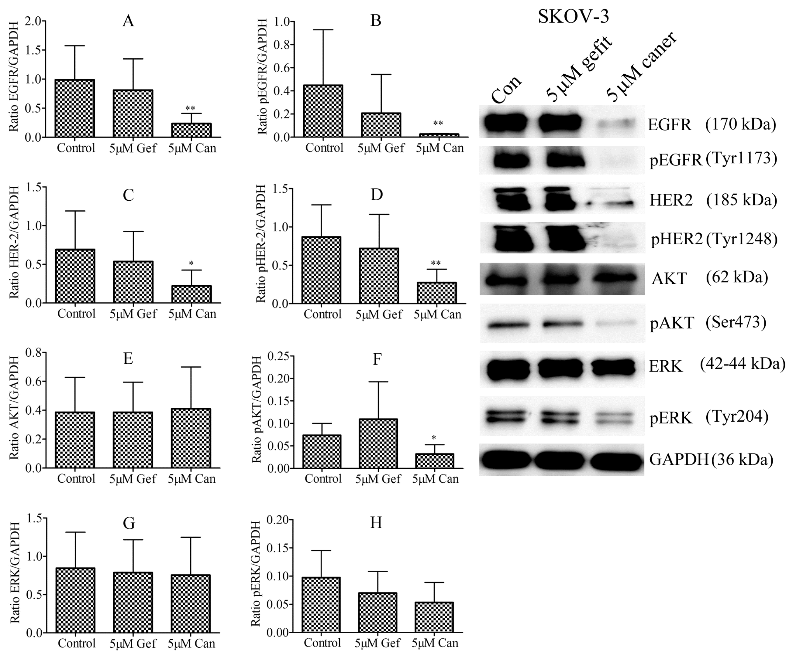 Applsci 10 02343 g002 Applsci 10 02343 g002