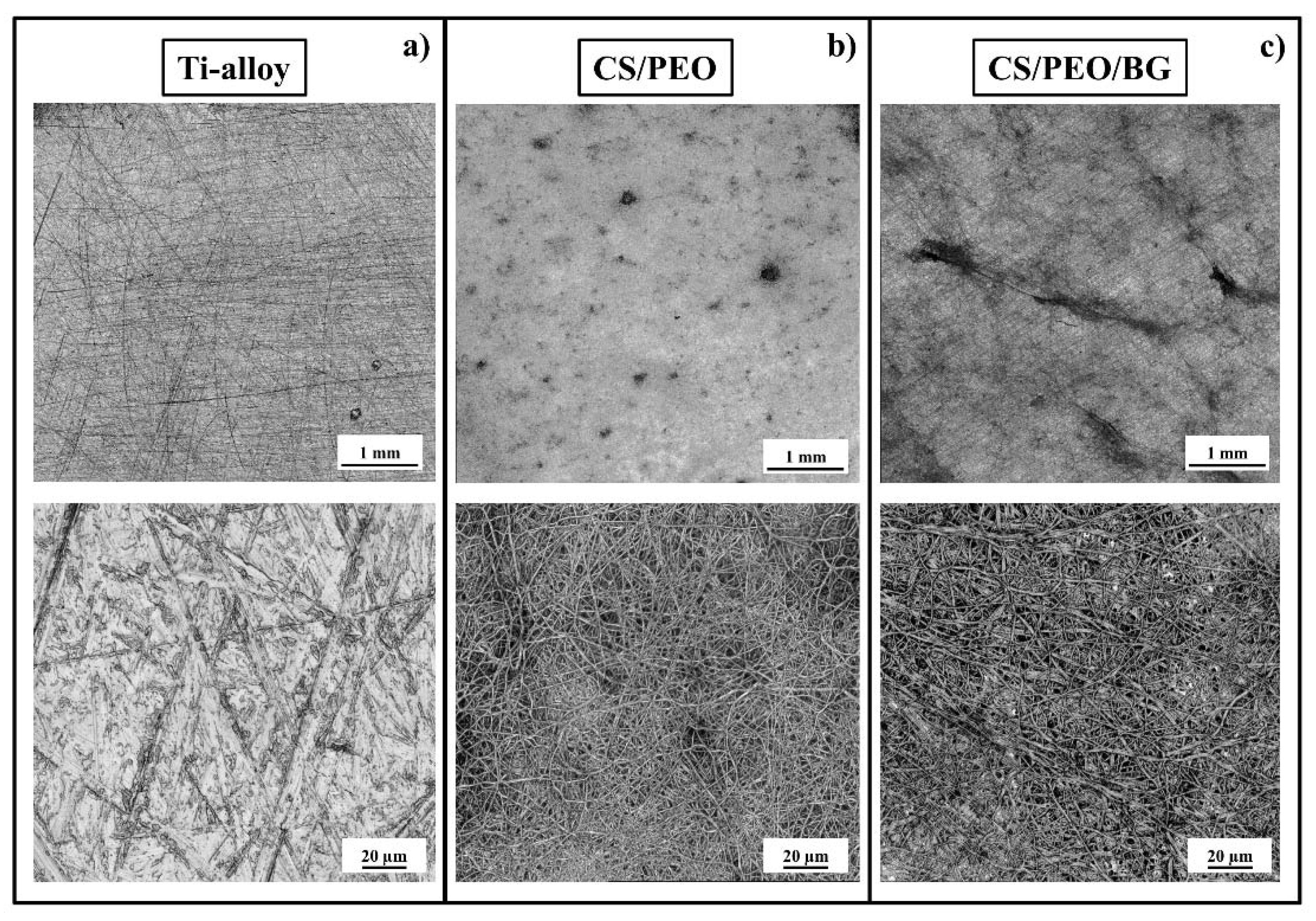 Applied Sciences Free Full Text Antibacterial And Osteoconductive Effects Of Chitosan Polyethylene Oxide Peo Bioactive Glass Nanofibers For Orthopedic Applications Html