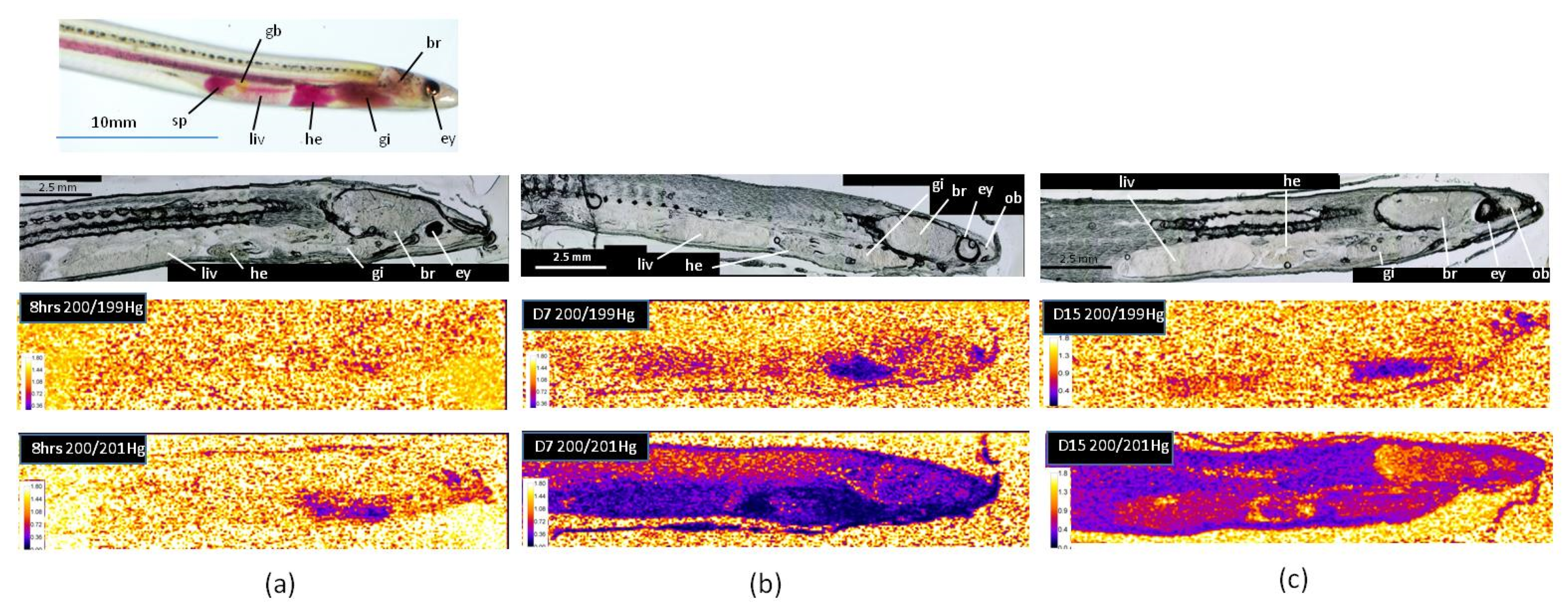 Applsci 10 02463 g003 Applsci 10 02463 g003