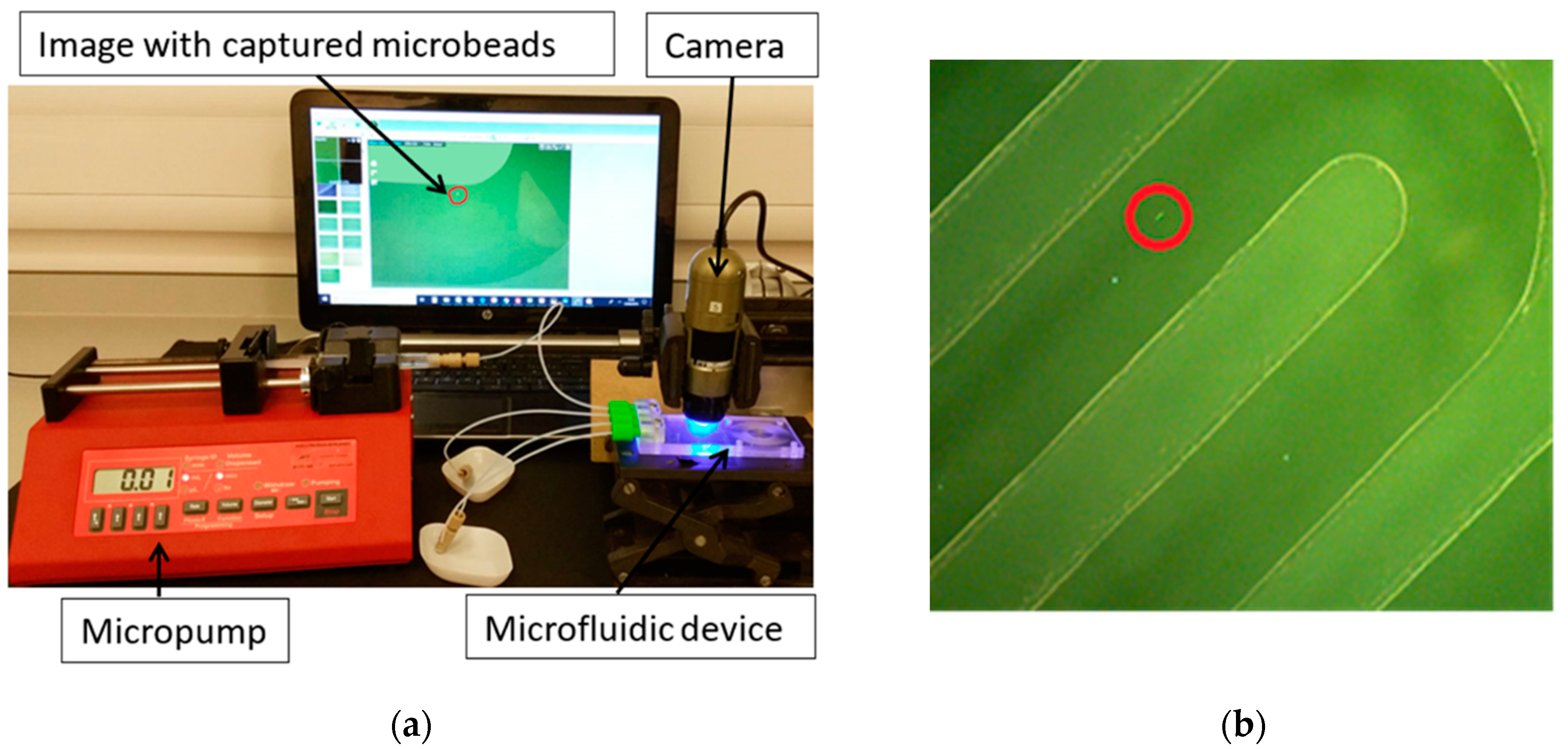 Applied Sciences | Free Full-Text | Towards the Development of Rapid and  Low-Cost Pathogen Detection Systems Using Microfluidic Technology and  Optical Image Processing