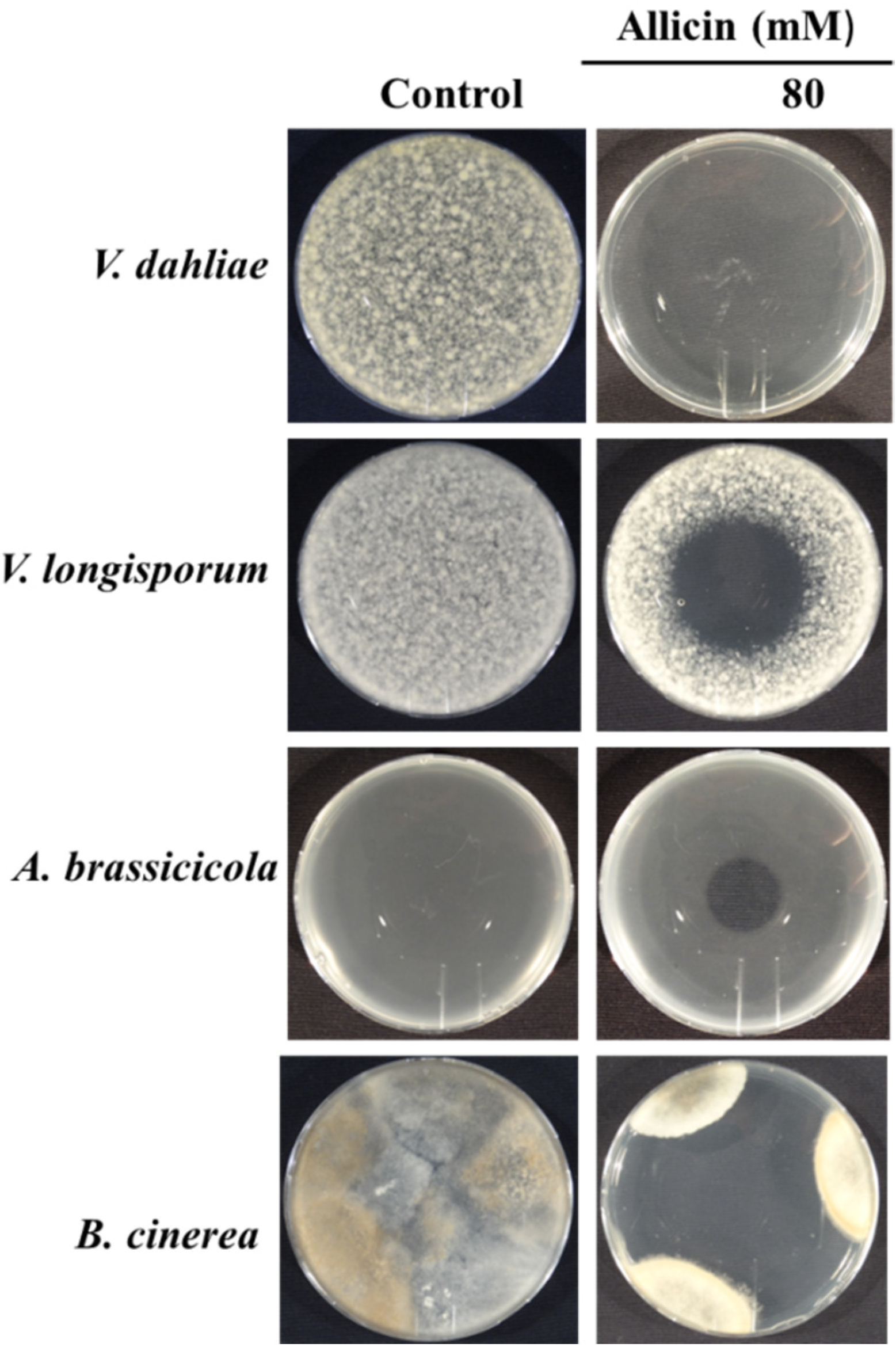 Applsci 10 02563 g004 Applsci 10 02563 g004