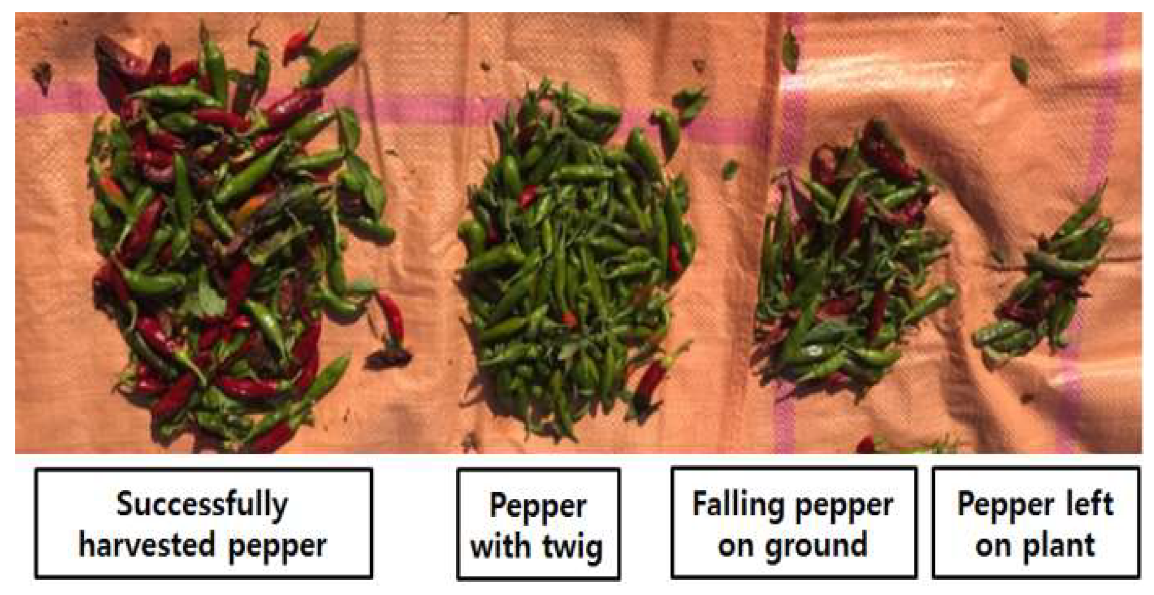 Applsci 10 02570 g008