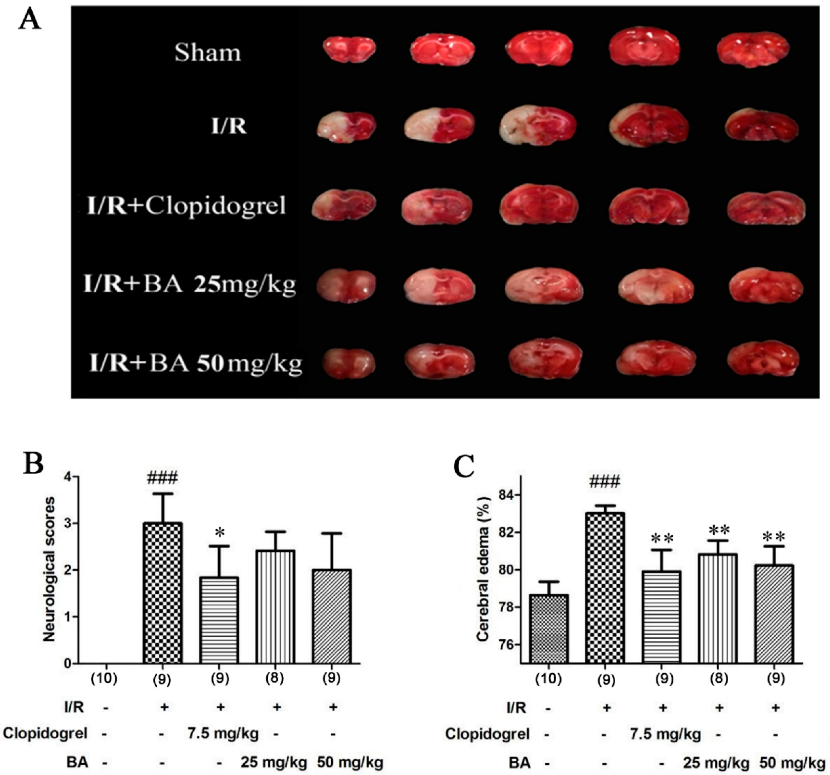 Applsci 10 02578 g002 Applsci 10 02578 g002