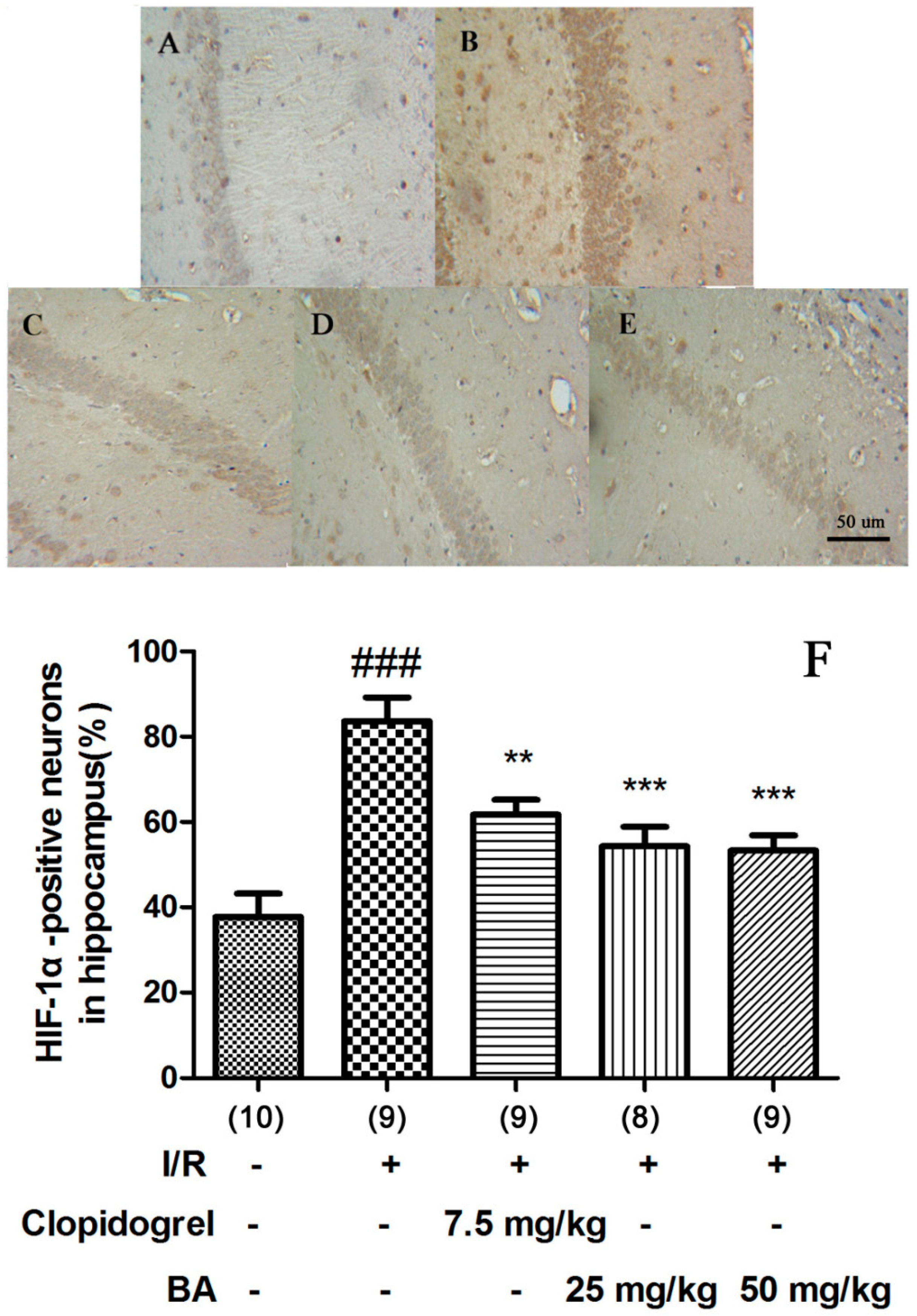 Applsci 10 02578 g006 Applsci 10 02578 g006
