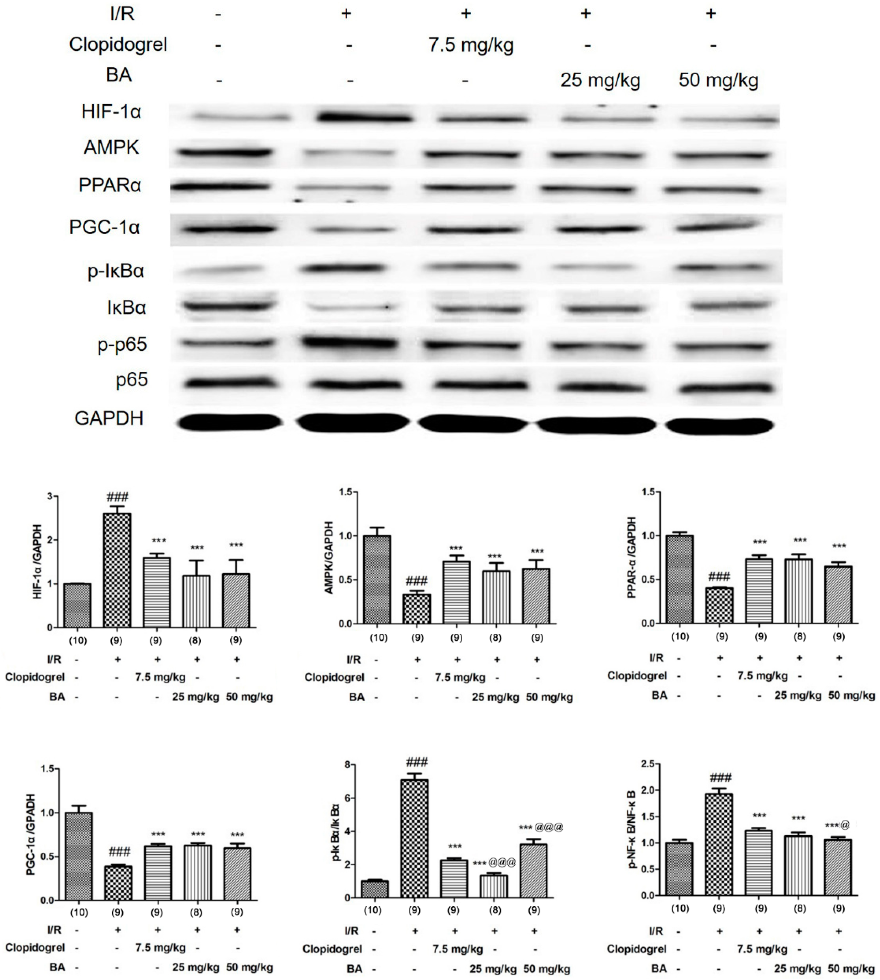 Applsci 10 02578 g007 Applsci 10 02578 g007