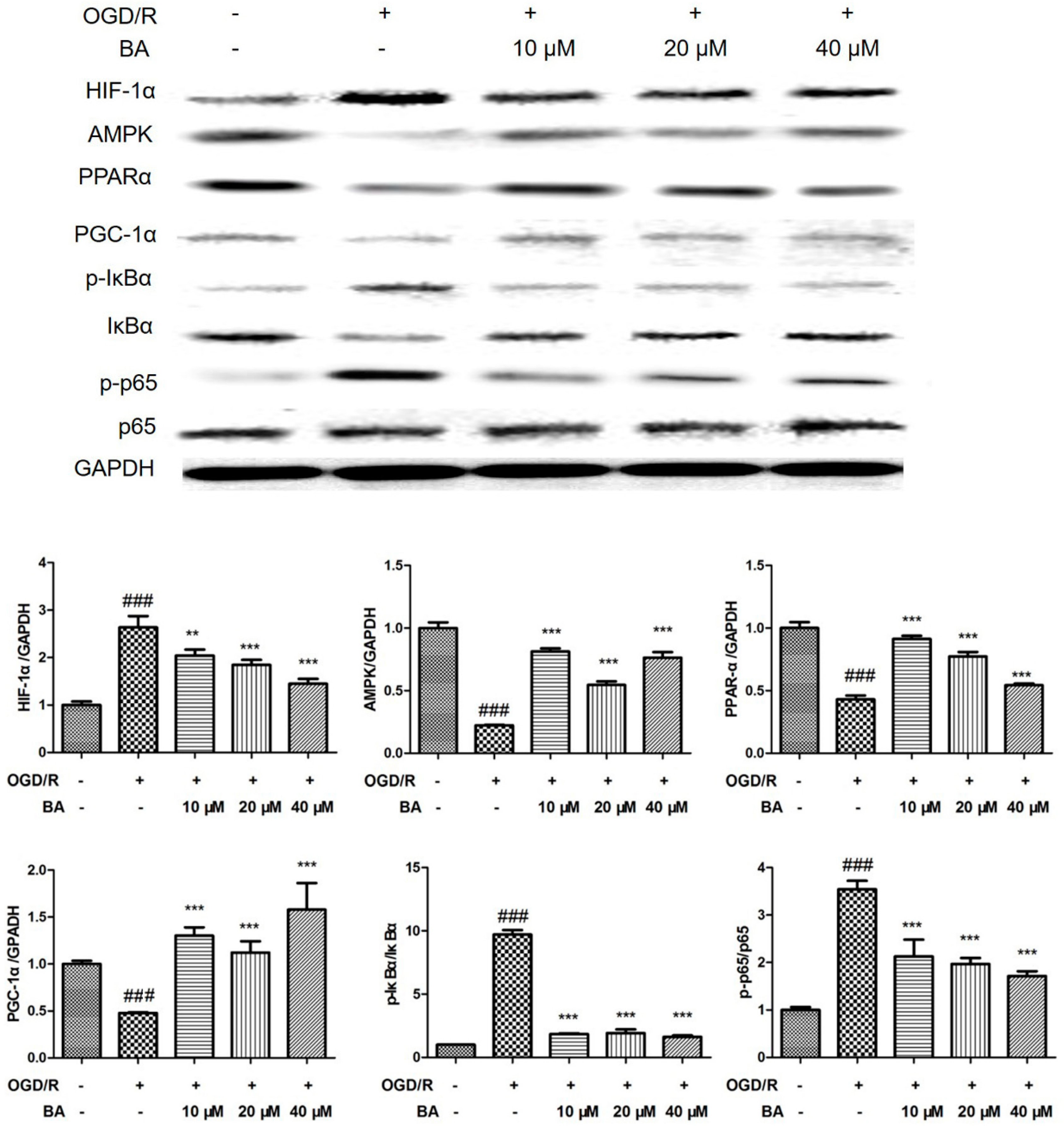 Applsci 10 02578 g008 Applsci 10 02578 g008