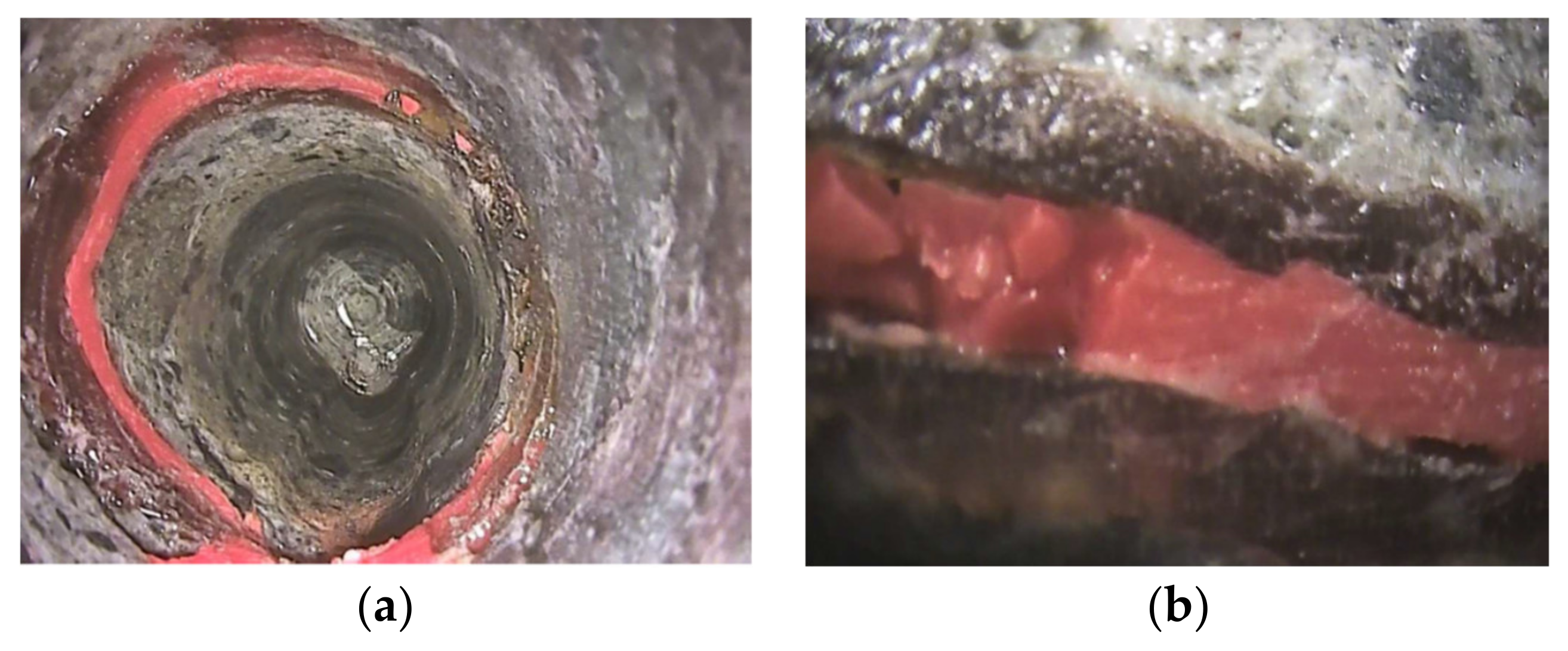 Applsci 10 02729 g010