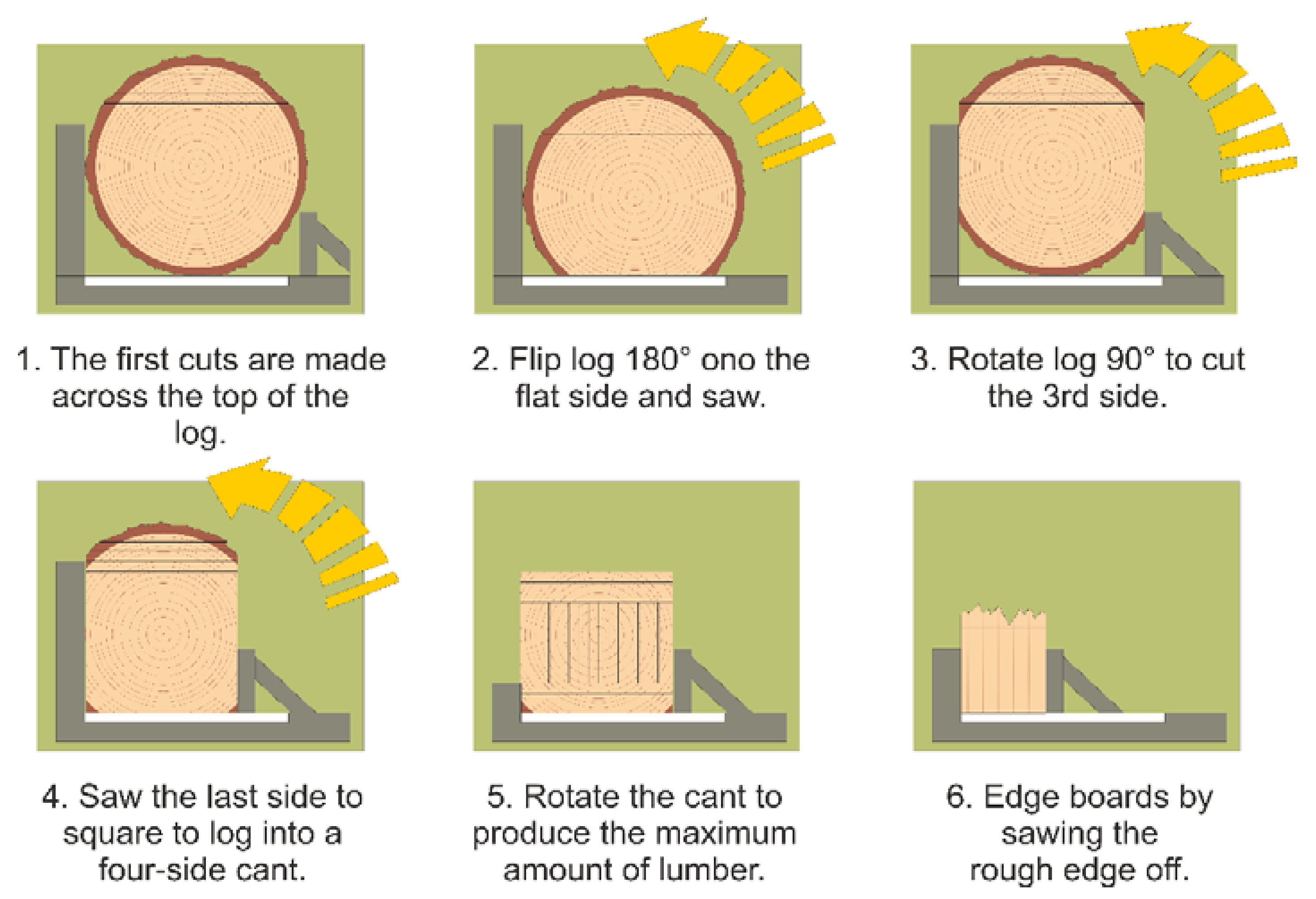 Cutting logs on sale into lumber